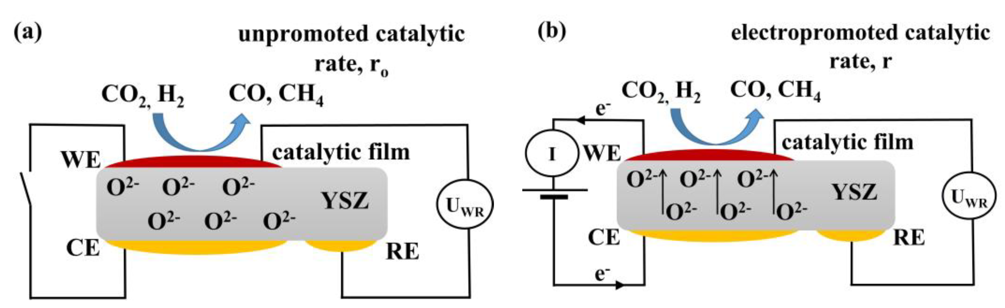 Catalysts 13 01014 g014 Catalysts 13 01014 g014
