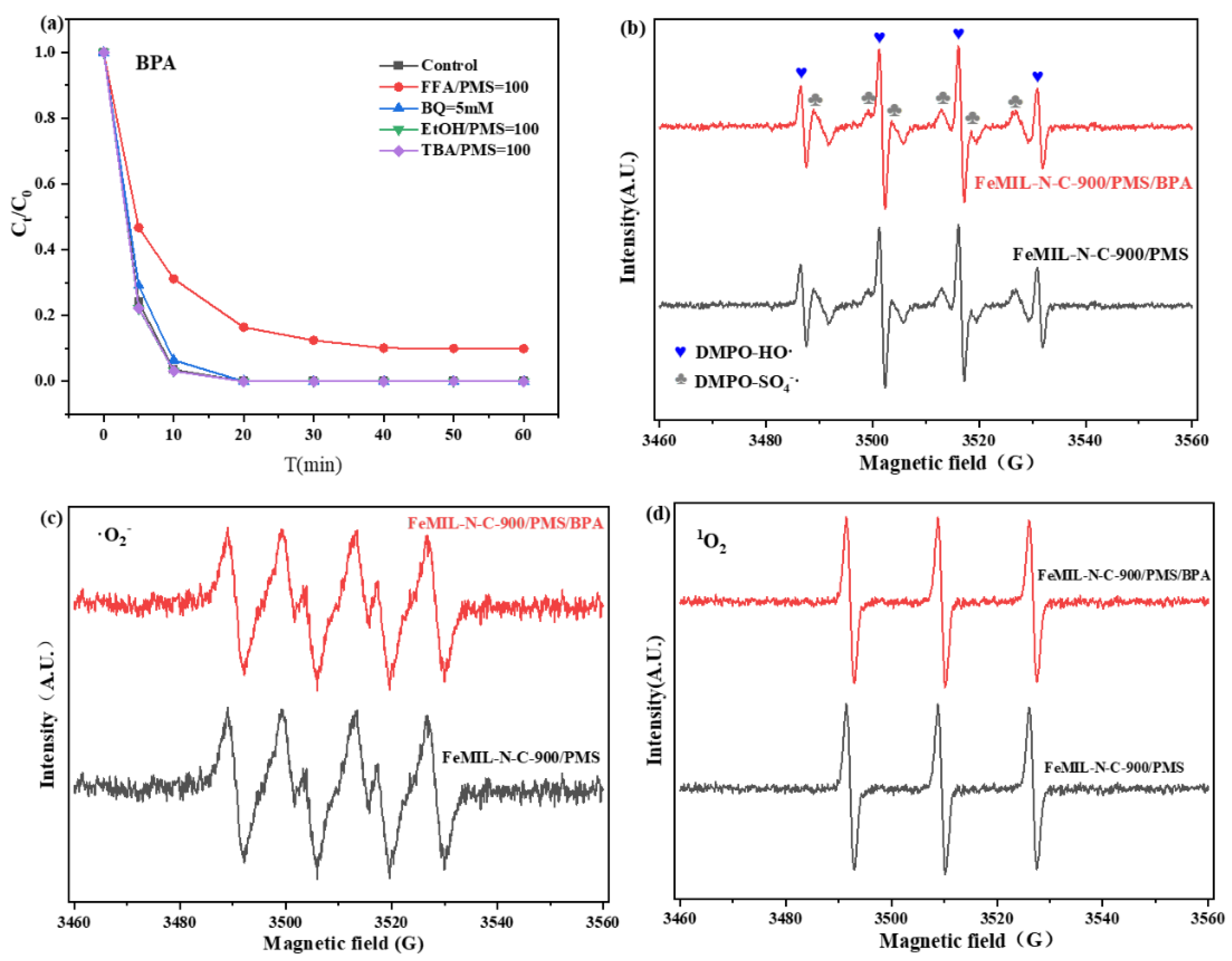 Catalysts 13 01021 g006 Catalysts 13 01021 g006