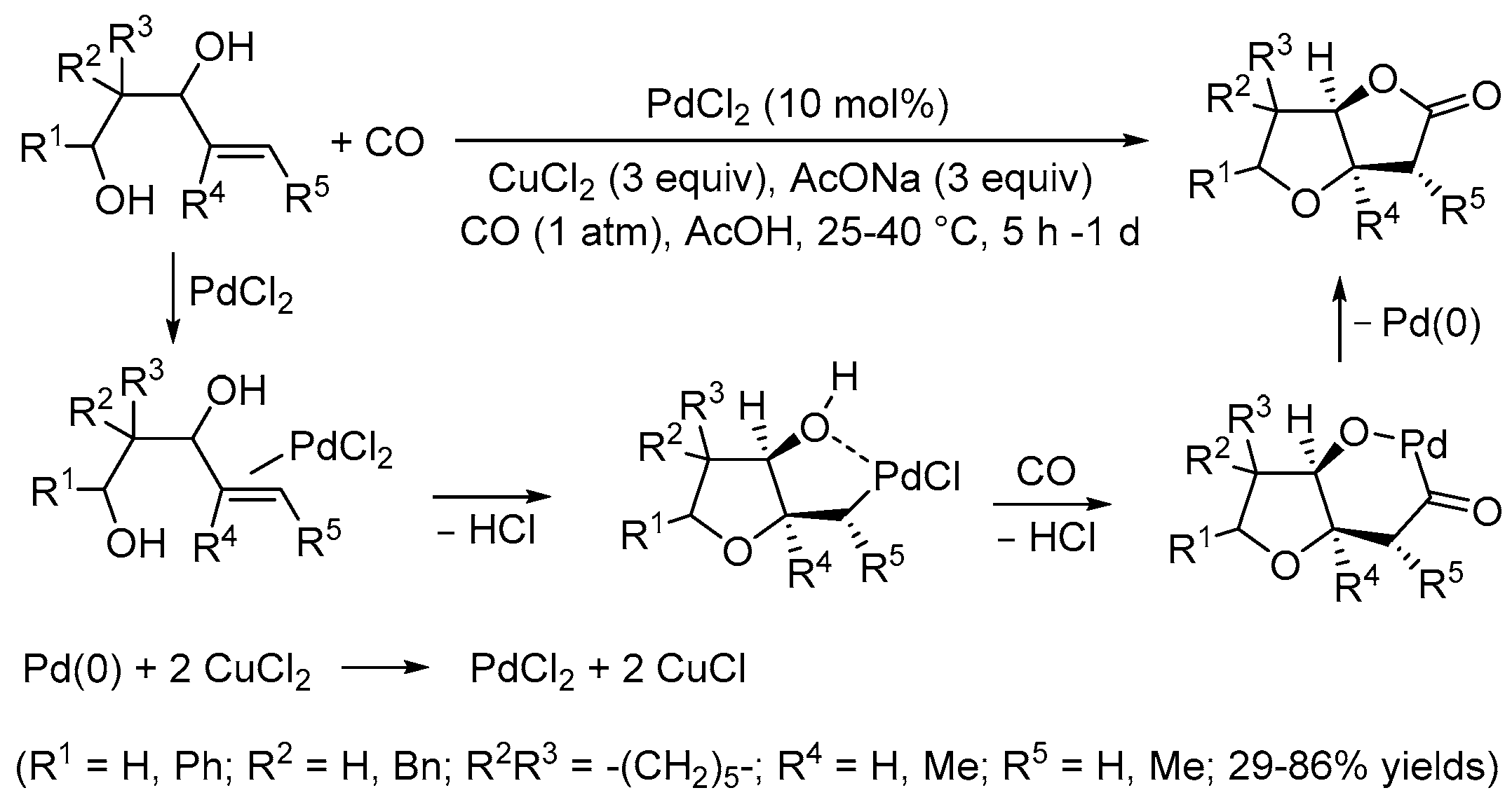 Catalysts 13 01025 sch003