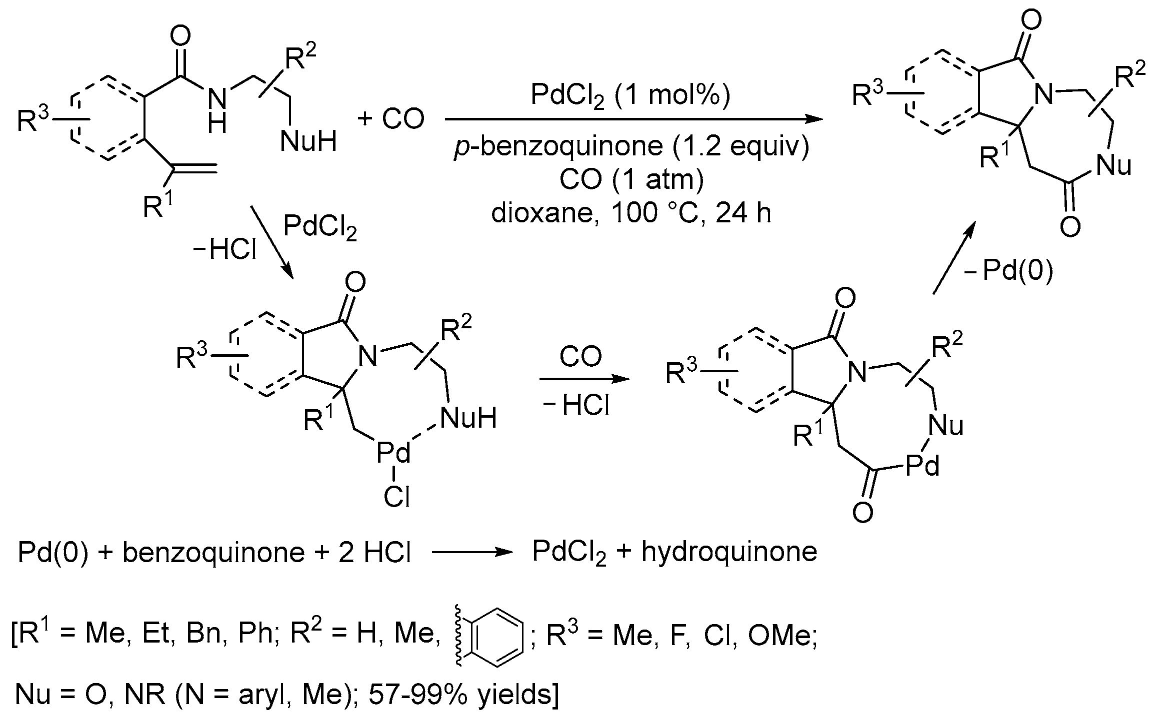Catalysts 13 01025 sch014