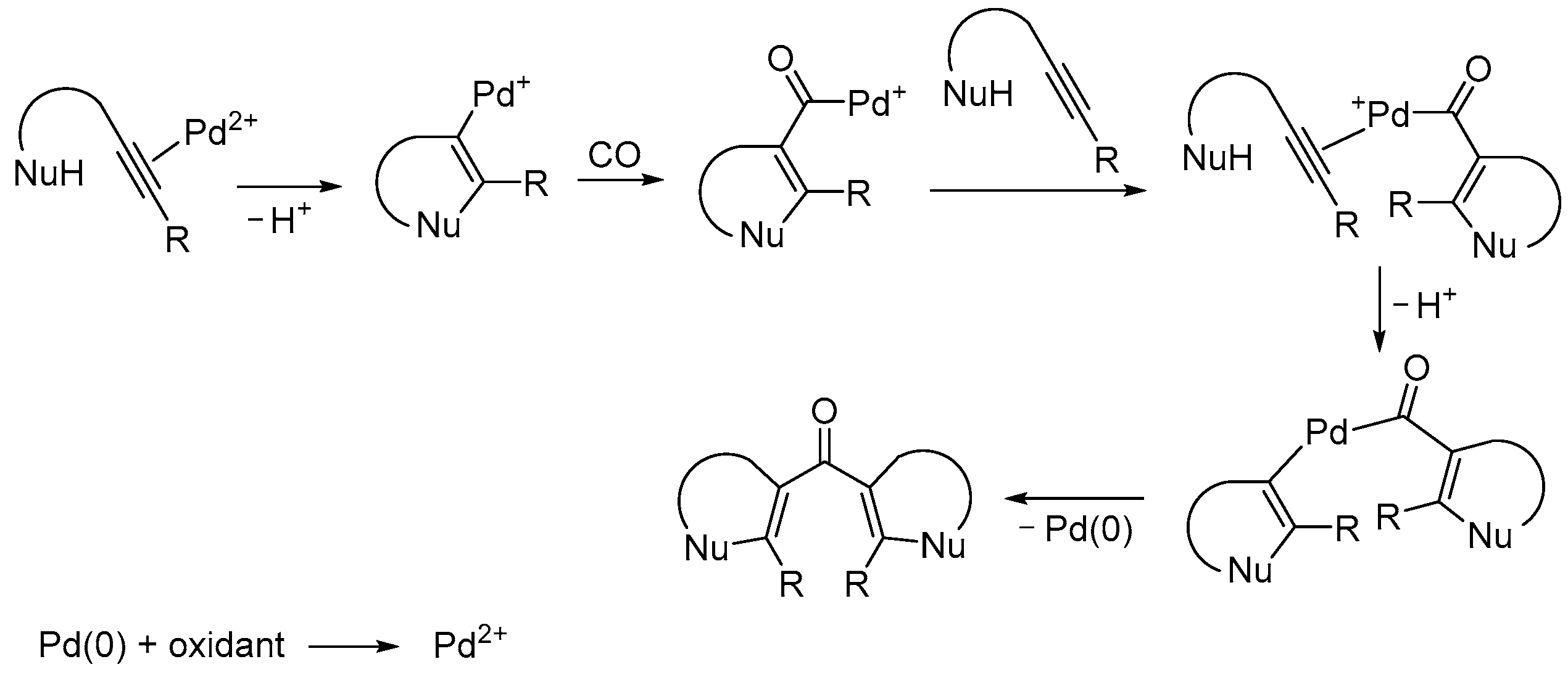 Catalysts 13 01025 sch016