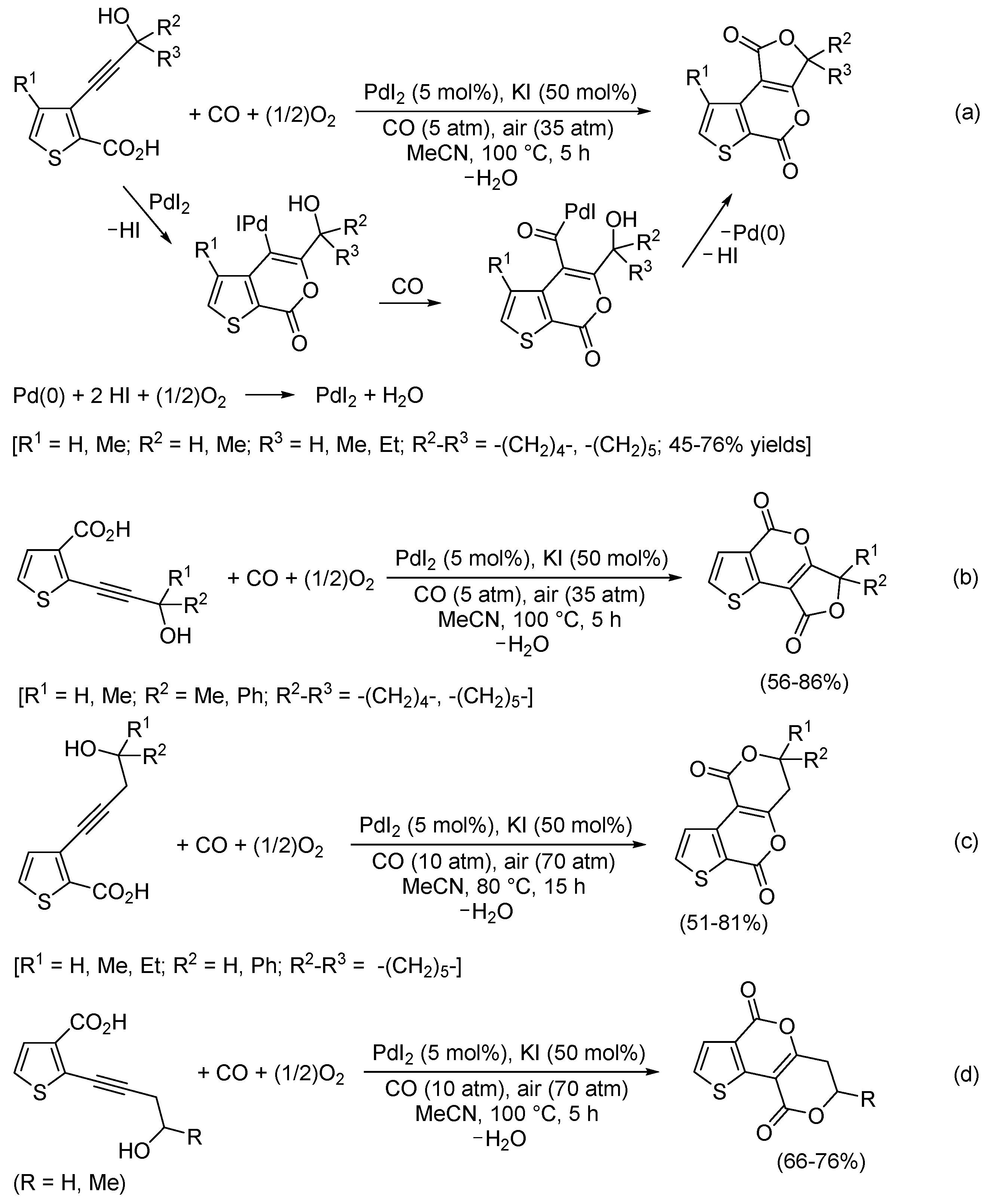 Catalysts 13 01025 sch024