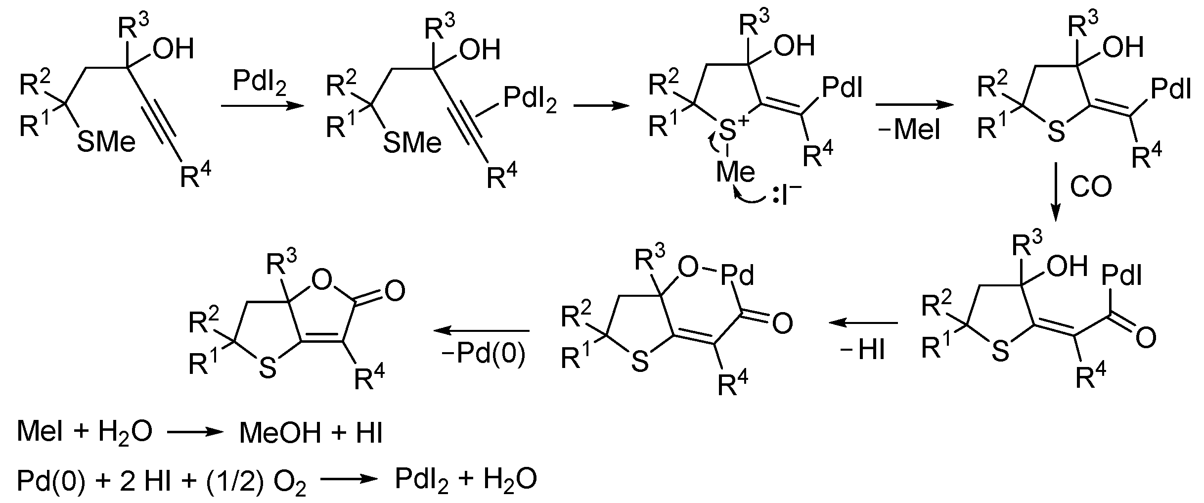 Catalysts 13 01025 sch026