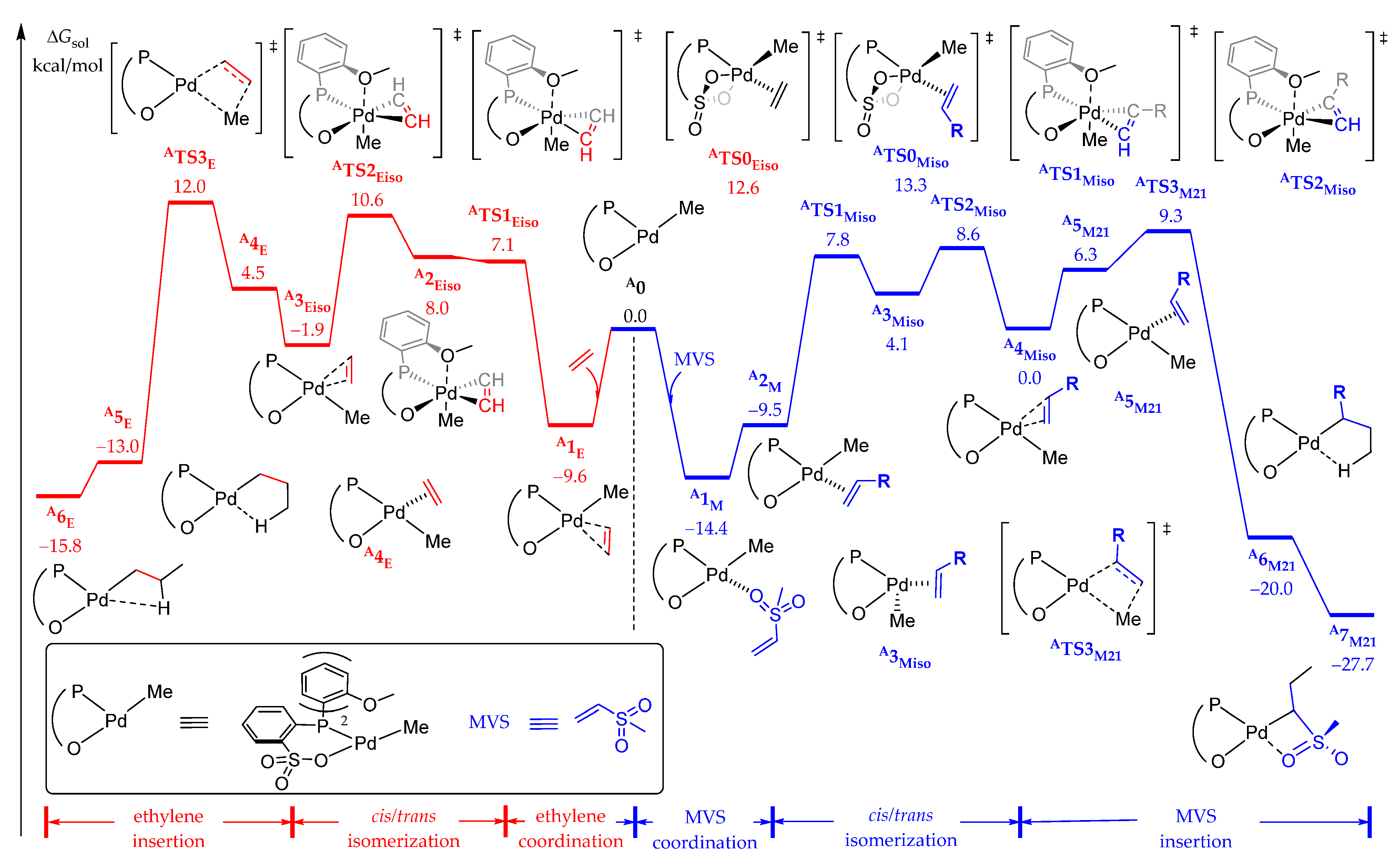 Catalysts 13 01026 g002