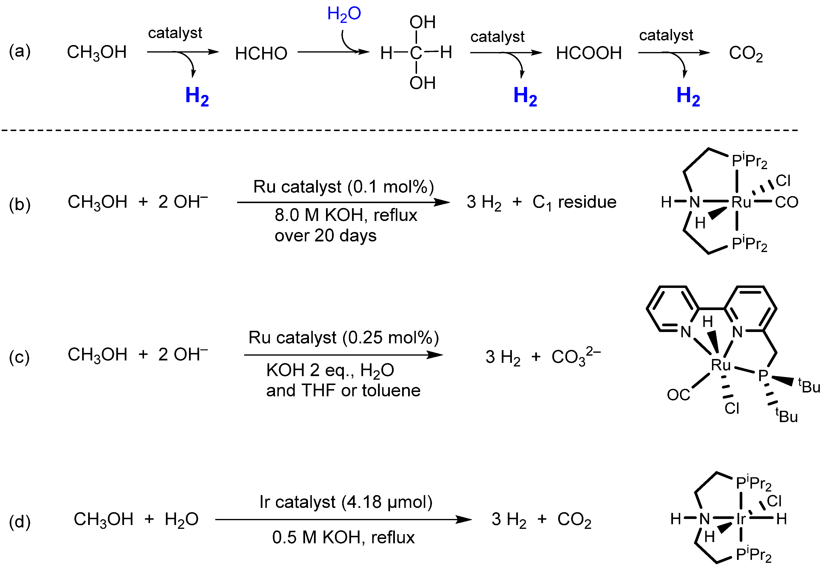 Catalysts 13 01027 sch001