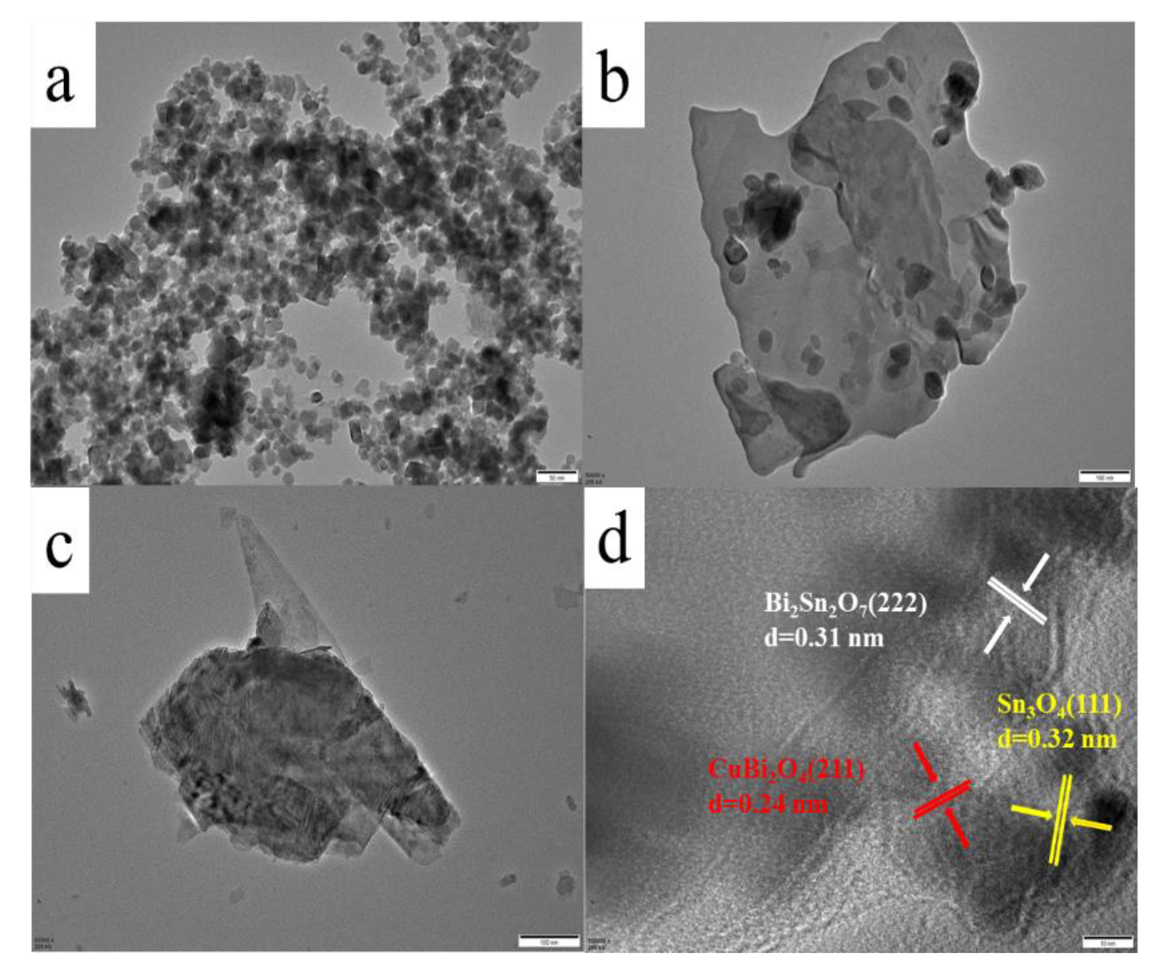 Catalysts 13 01028 g002