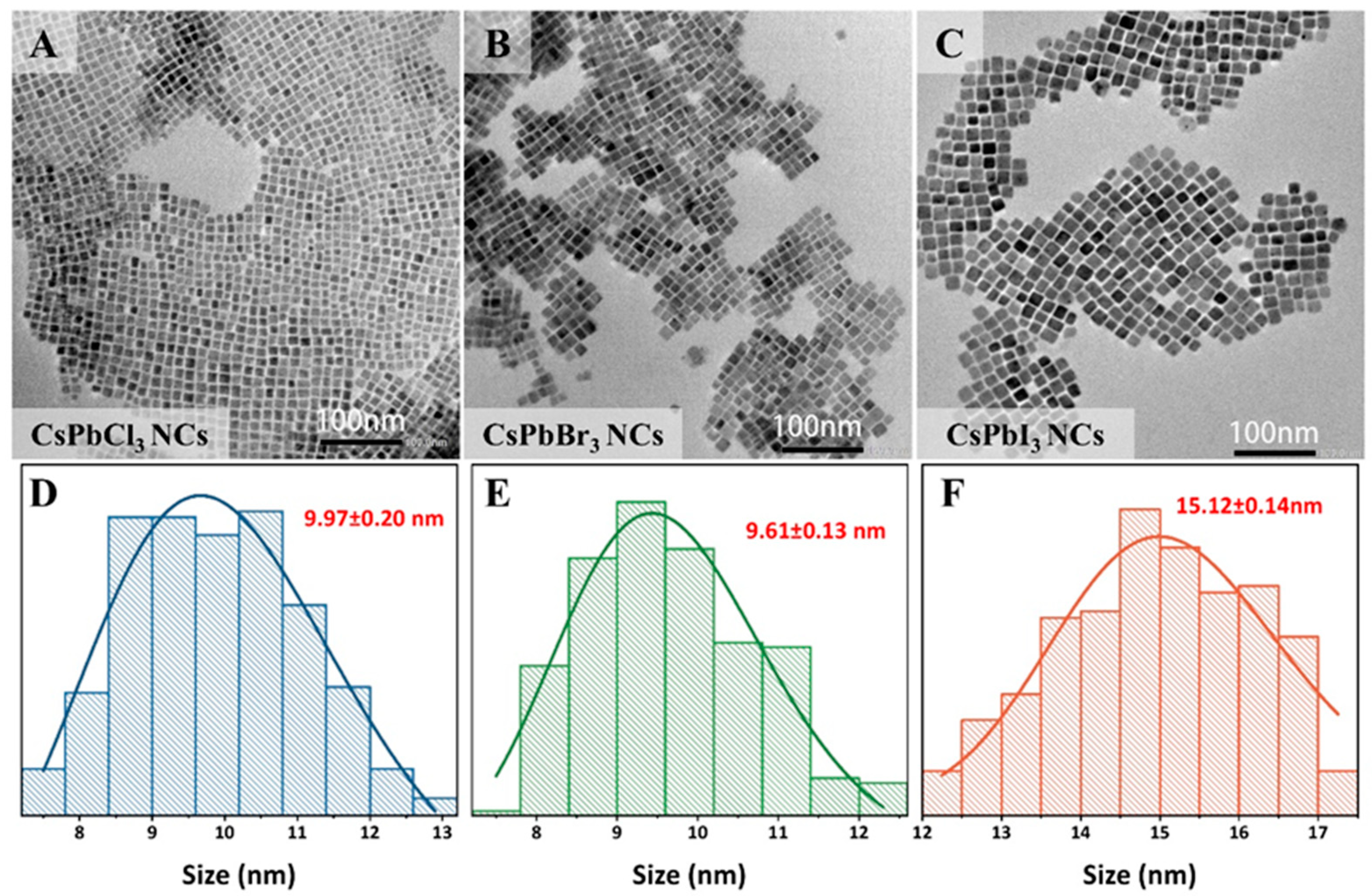 Catalysts 13 01041 g001