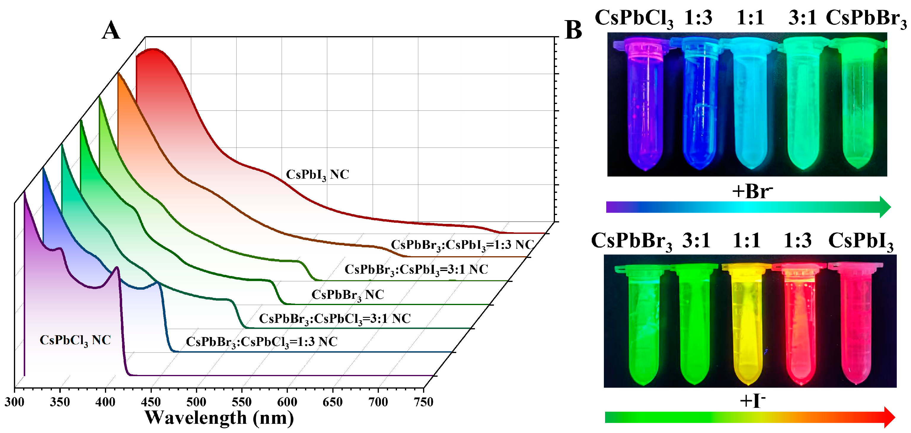 Catalysts 13 01041 g004