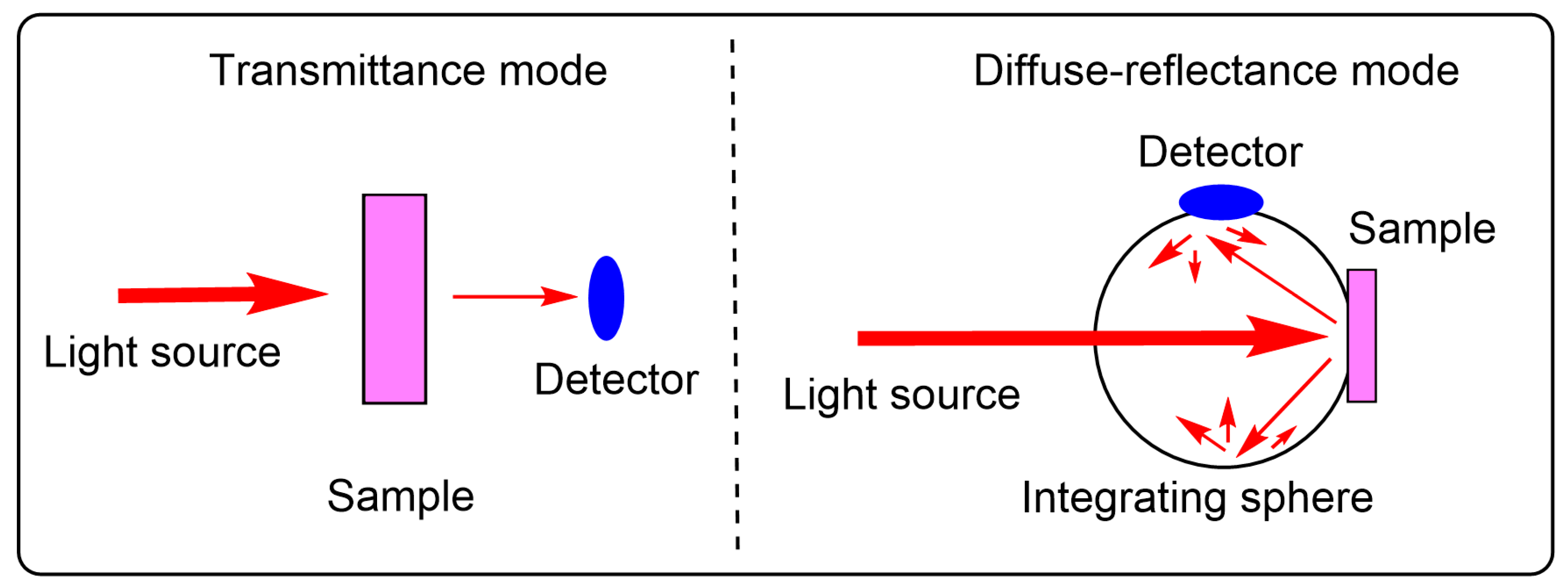 Catalysts 13 01042 g005