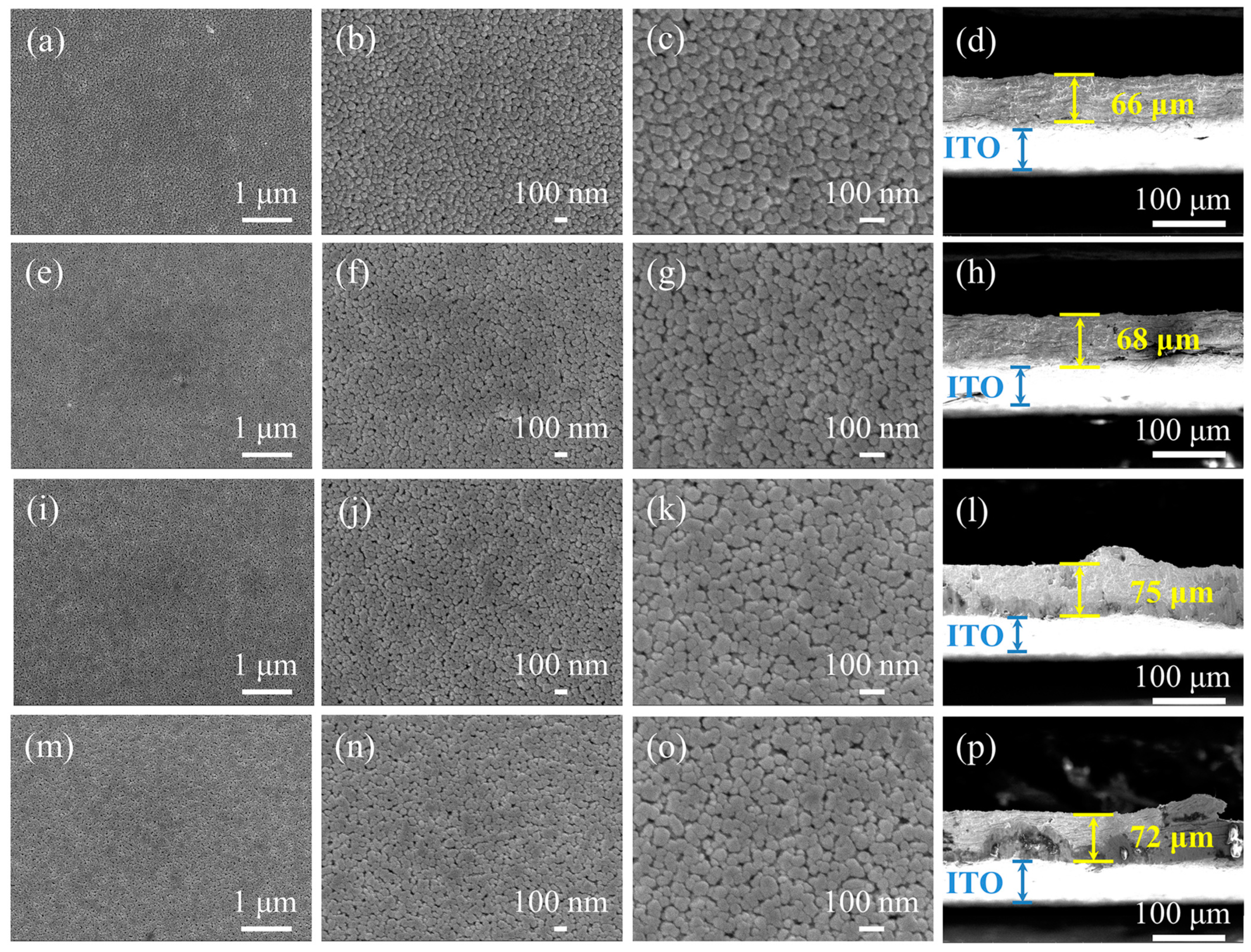 Catalysts 13 01044 g003