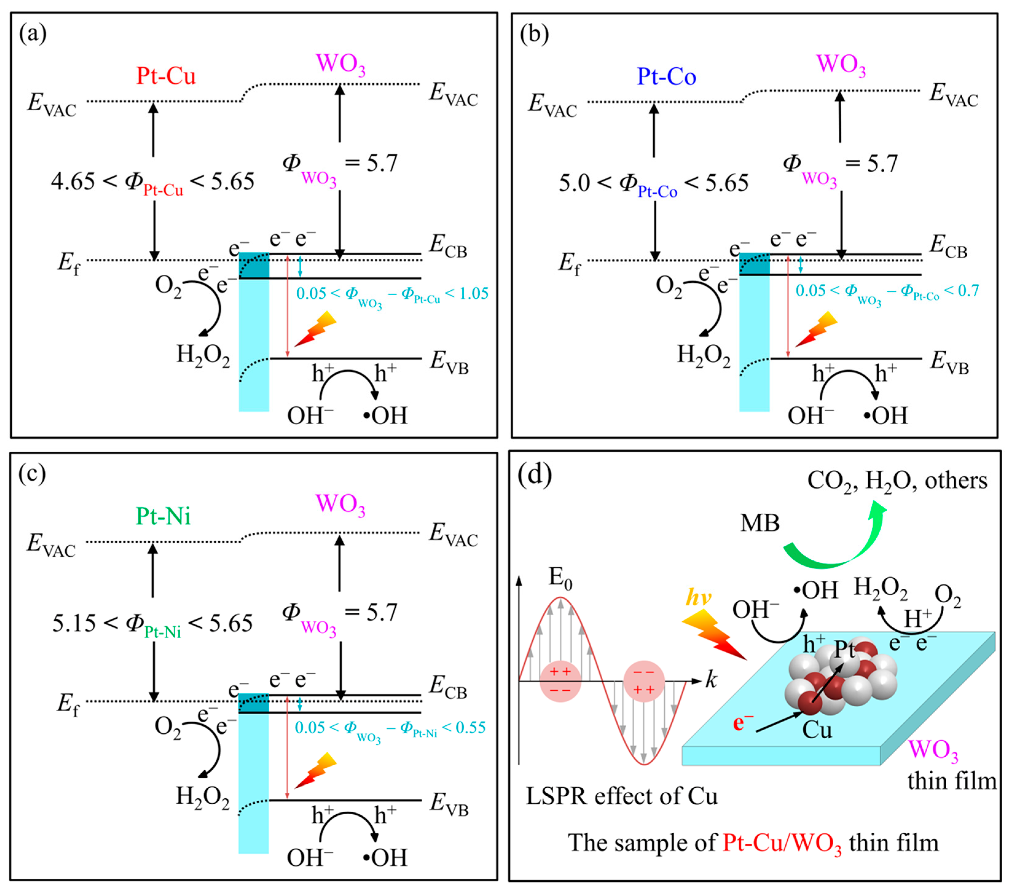 Catalysts 13 01044 sch001