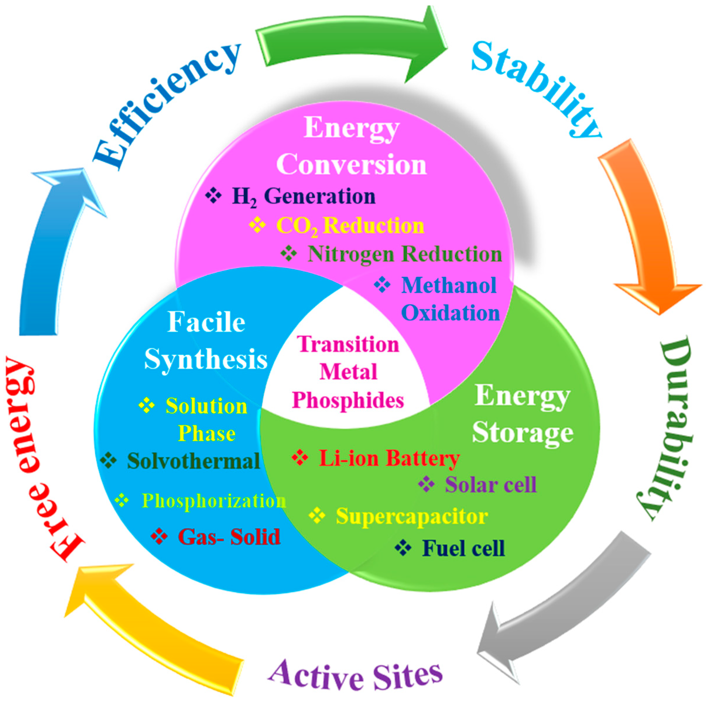 Catalysts 13 01046 g003