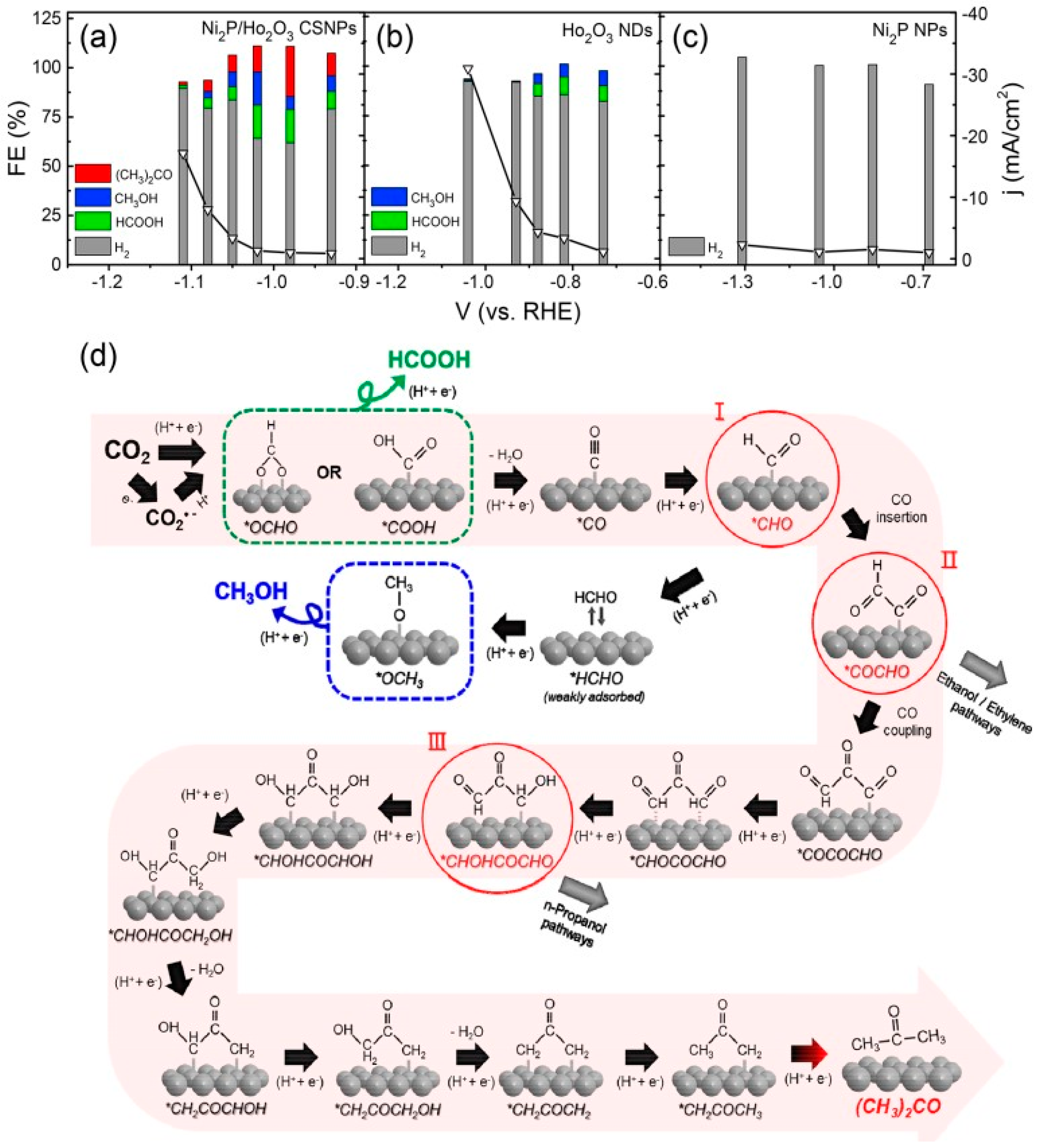 Catalysts 13 01046 g012