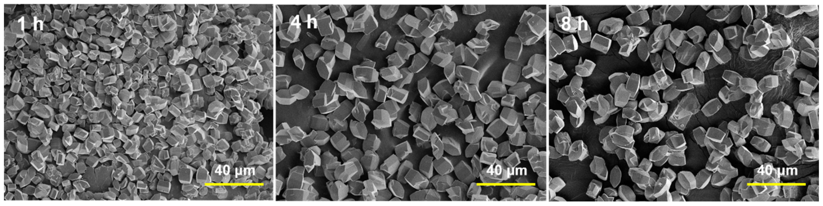 Catalysts 13 01049 g001