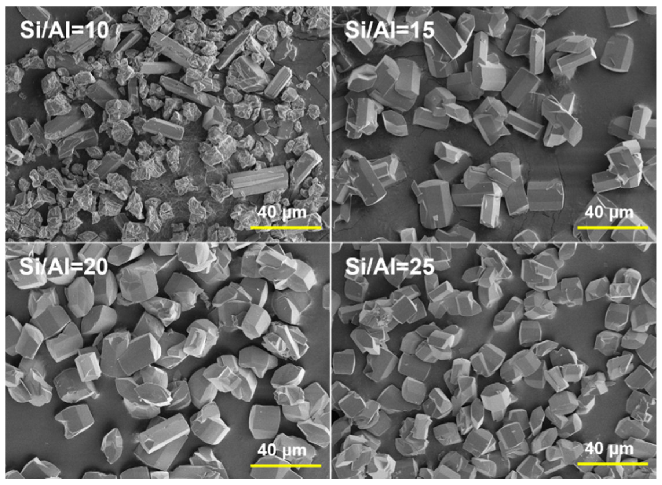 Catalysts 13 01049 g003