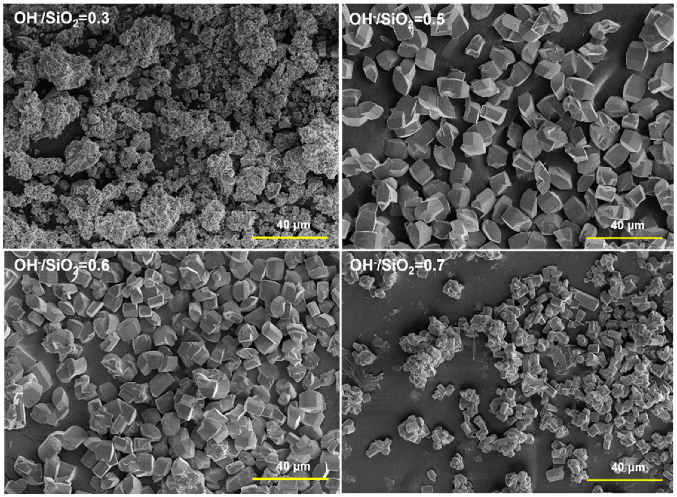 Catalysts 13 01049 g004