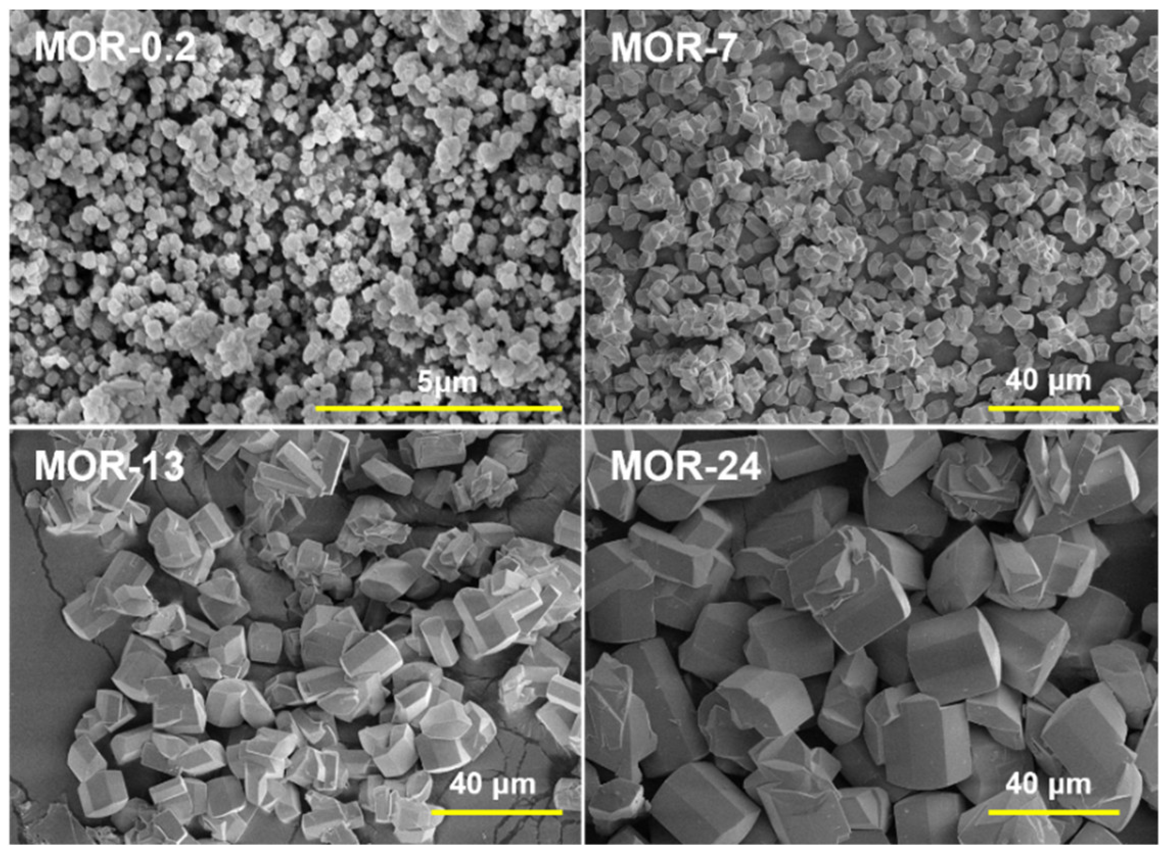 Catalysts 13 01049 g006