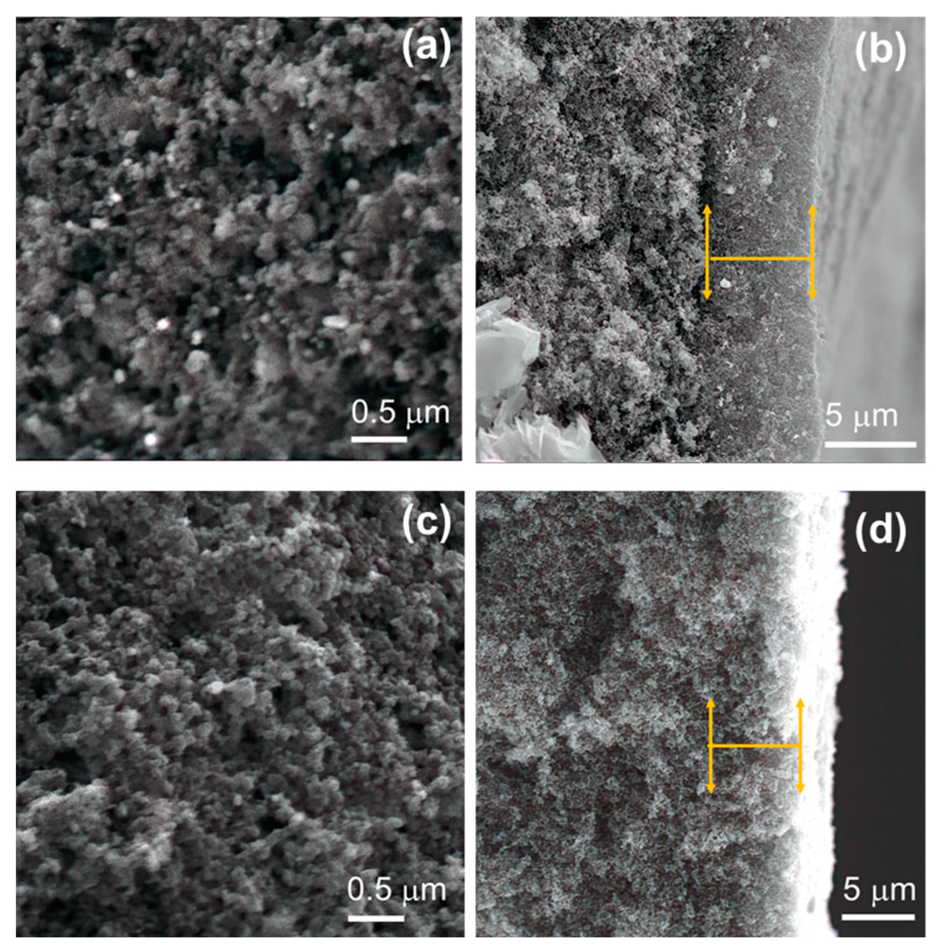 Catalysts 13 01050 g004 Catalysts 13 01050 g004