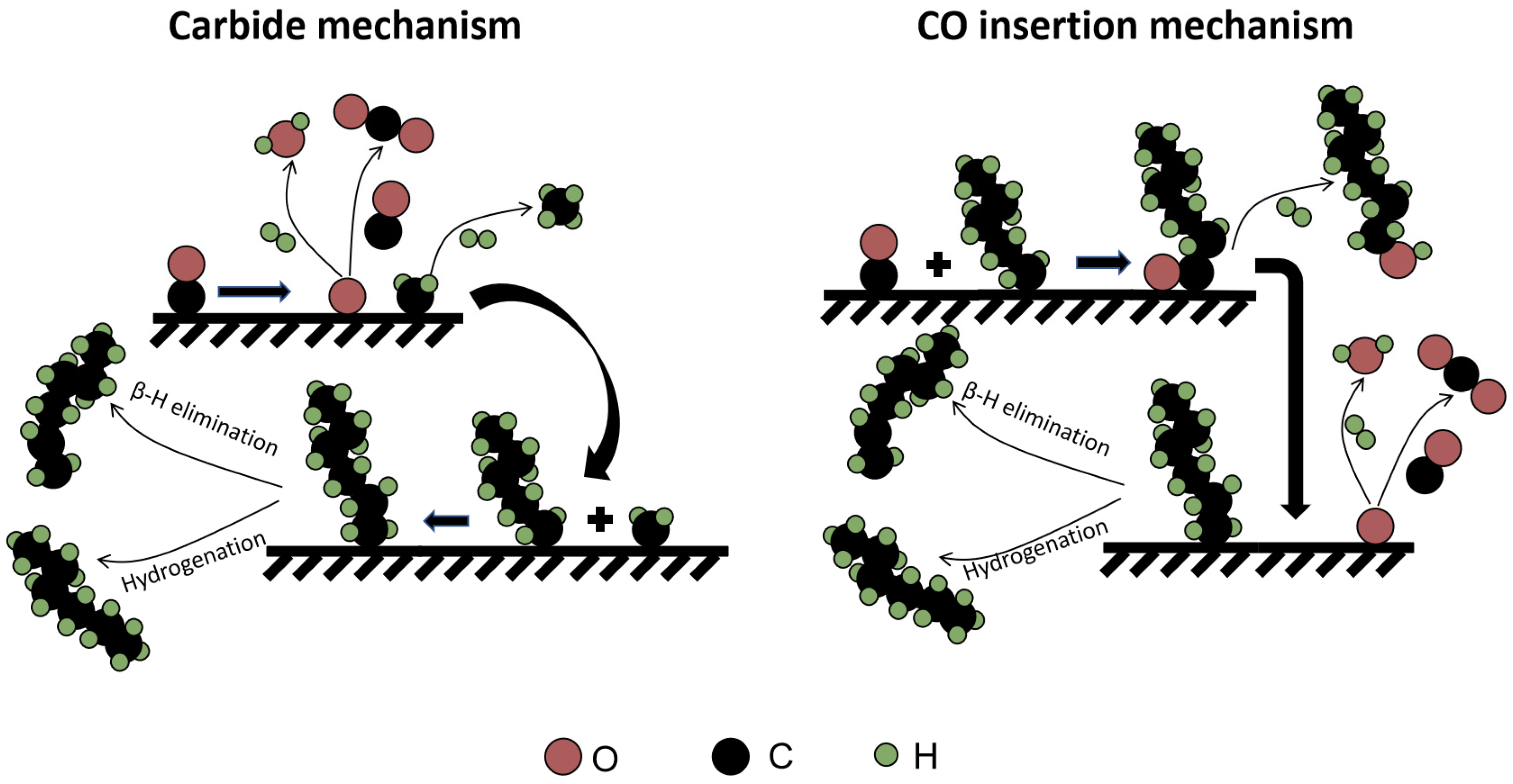 Catalysts 13 01052 g005
