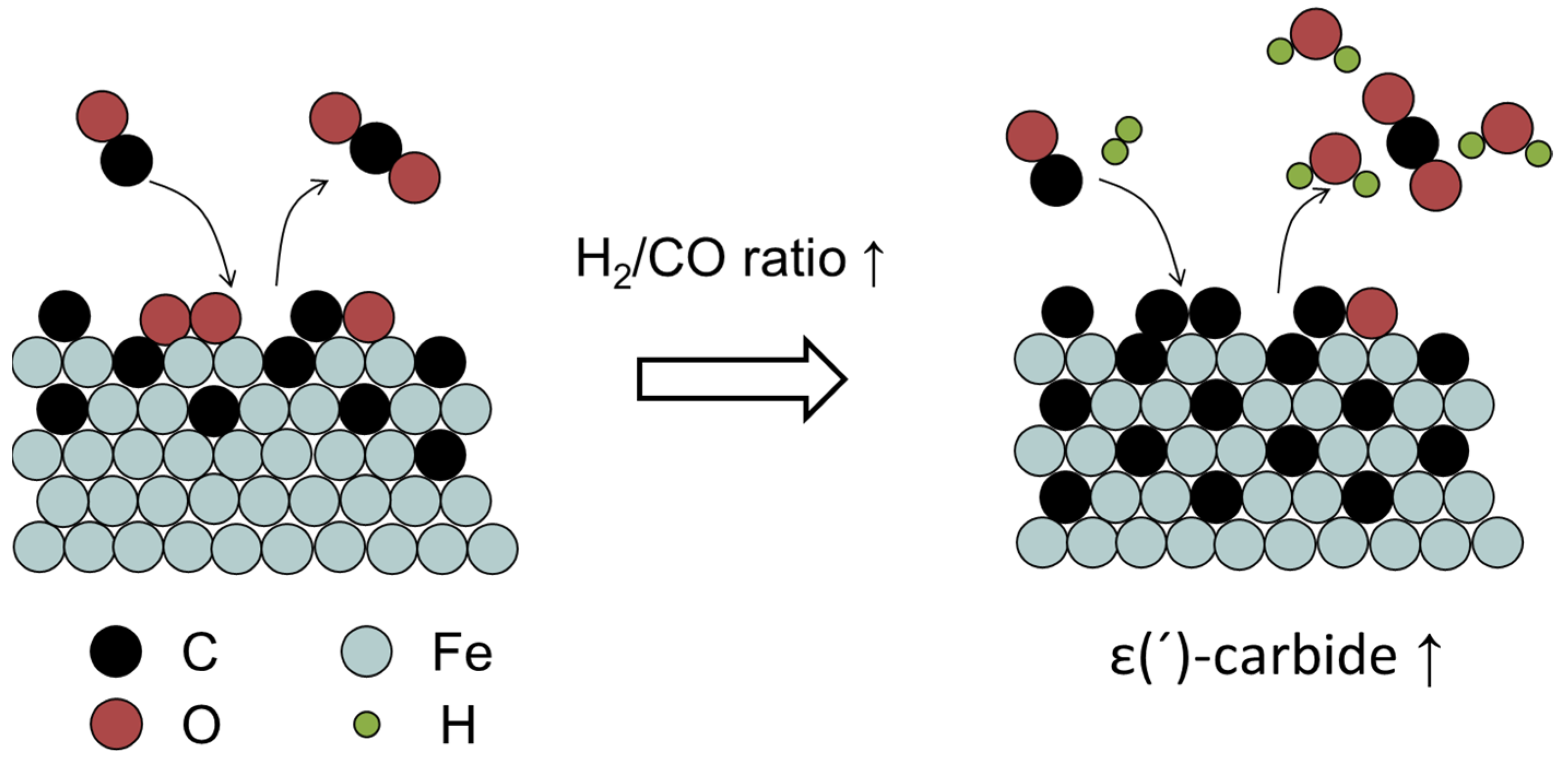 Catalysts 13 01052 g006