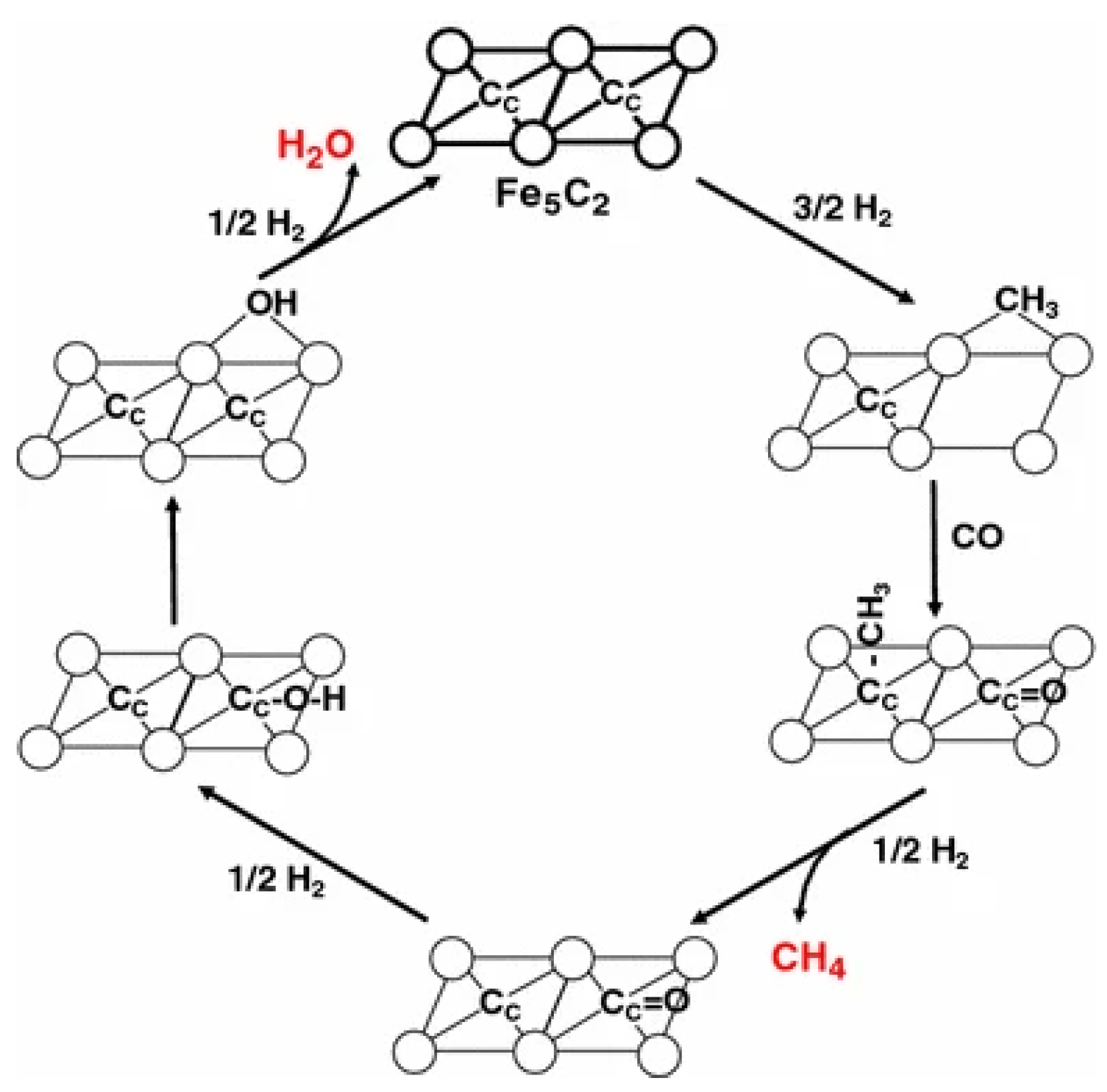 Catalysts 13 01052 g007