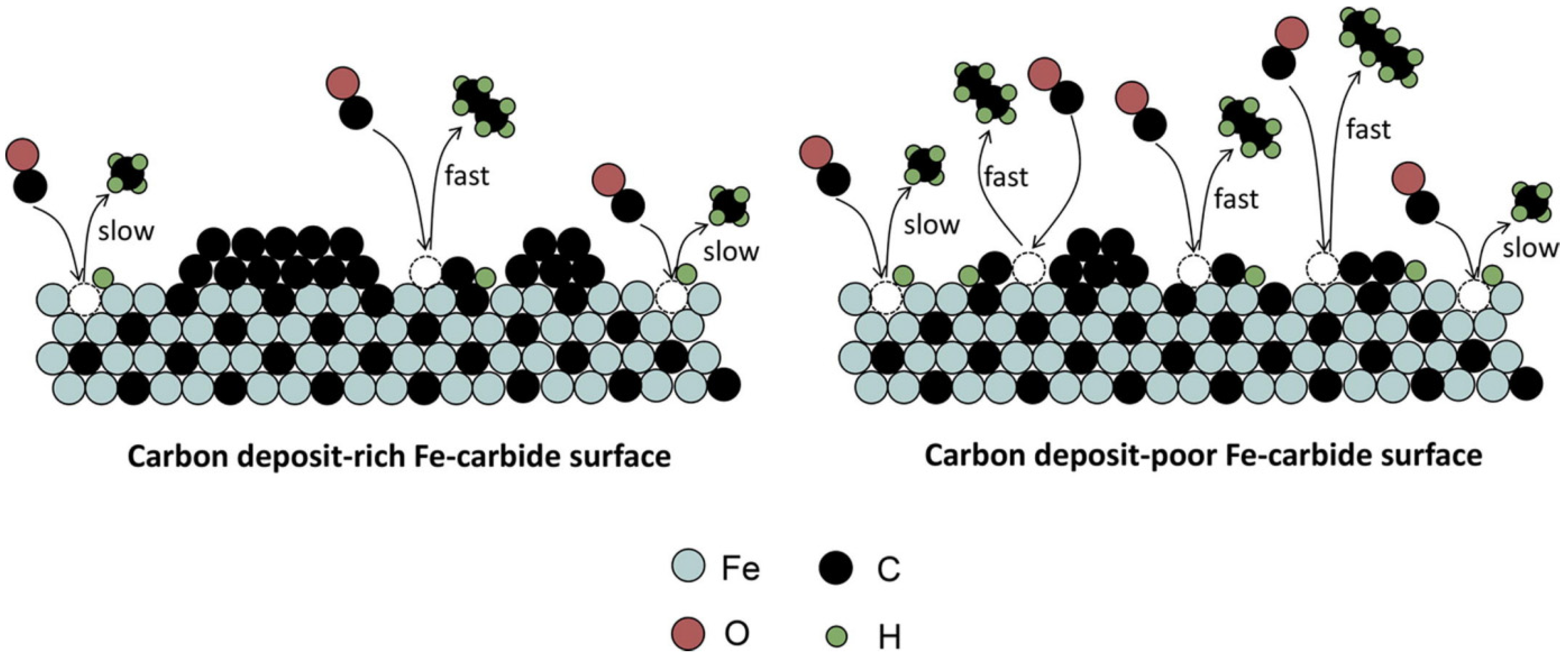 Catalysts 13 01052 g009