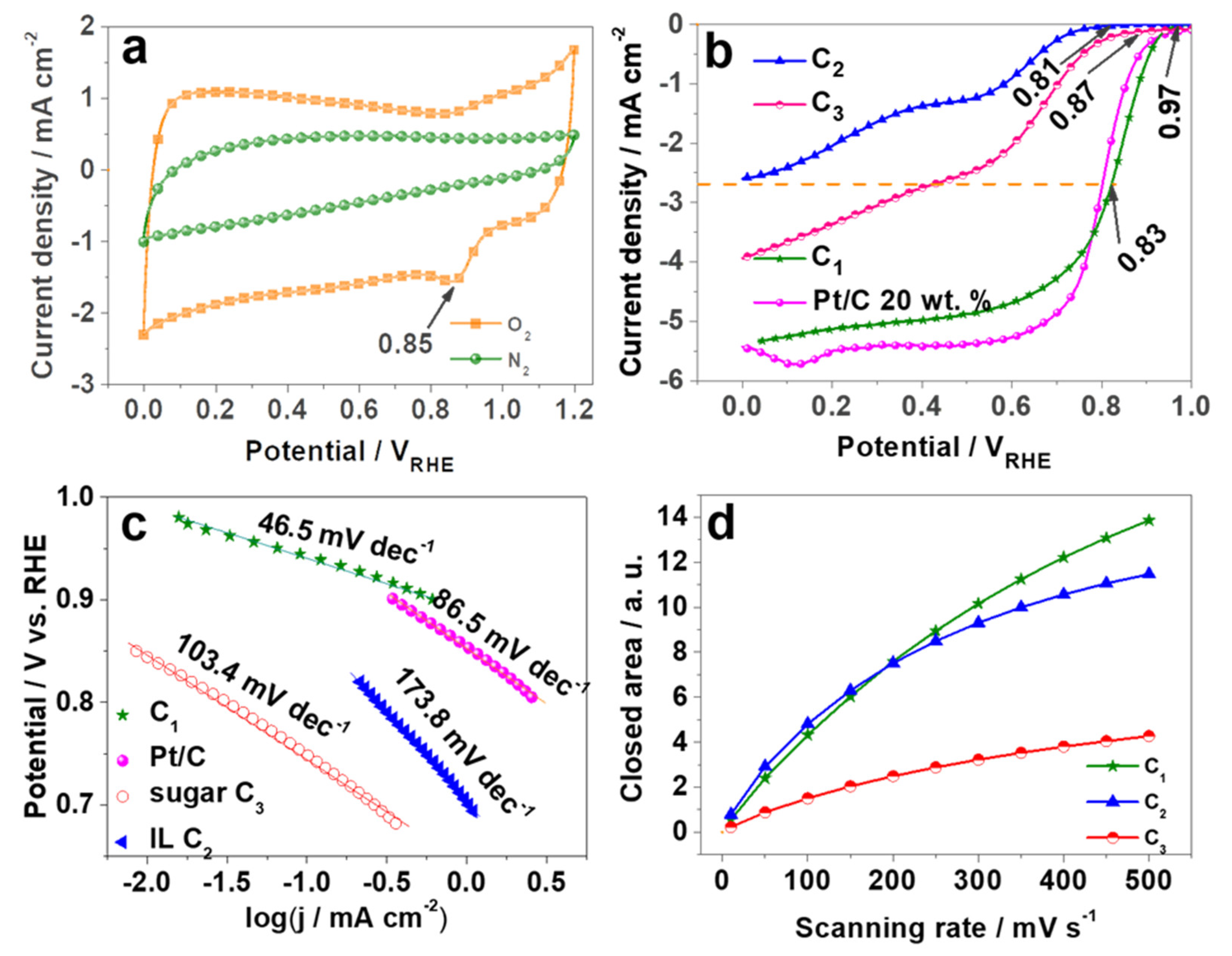 Catalysts 13 01059 g001