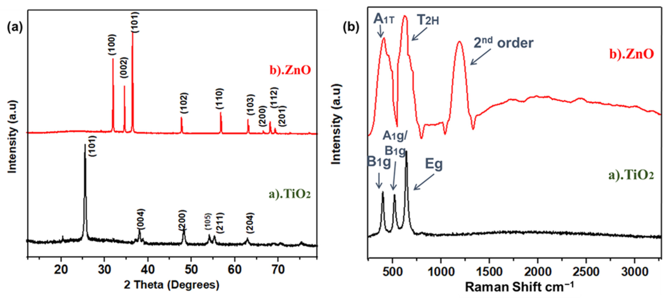 Catalysts 13 01062 g001