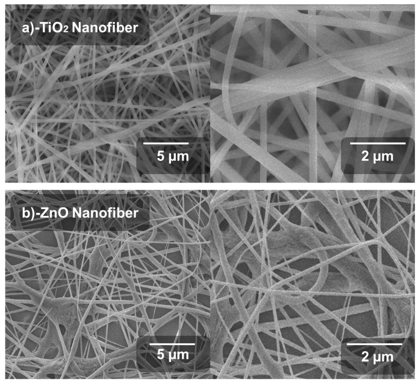 Catalysts 13 01062 g002
