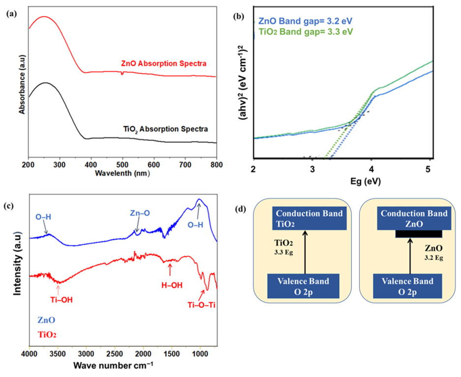 Catalysts 13 01062 g004
