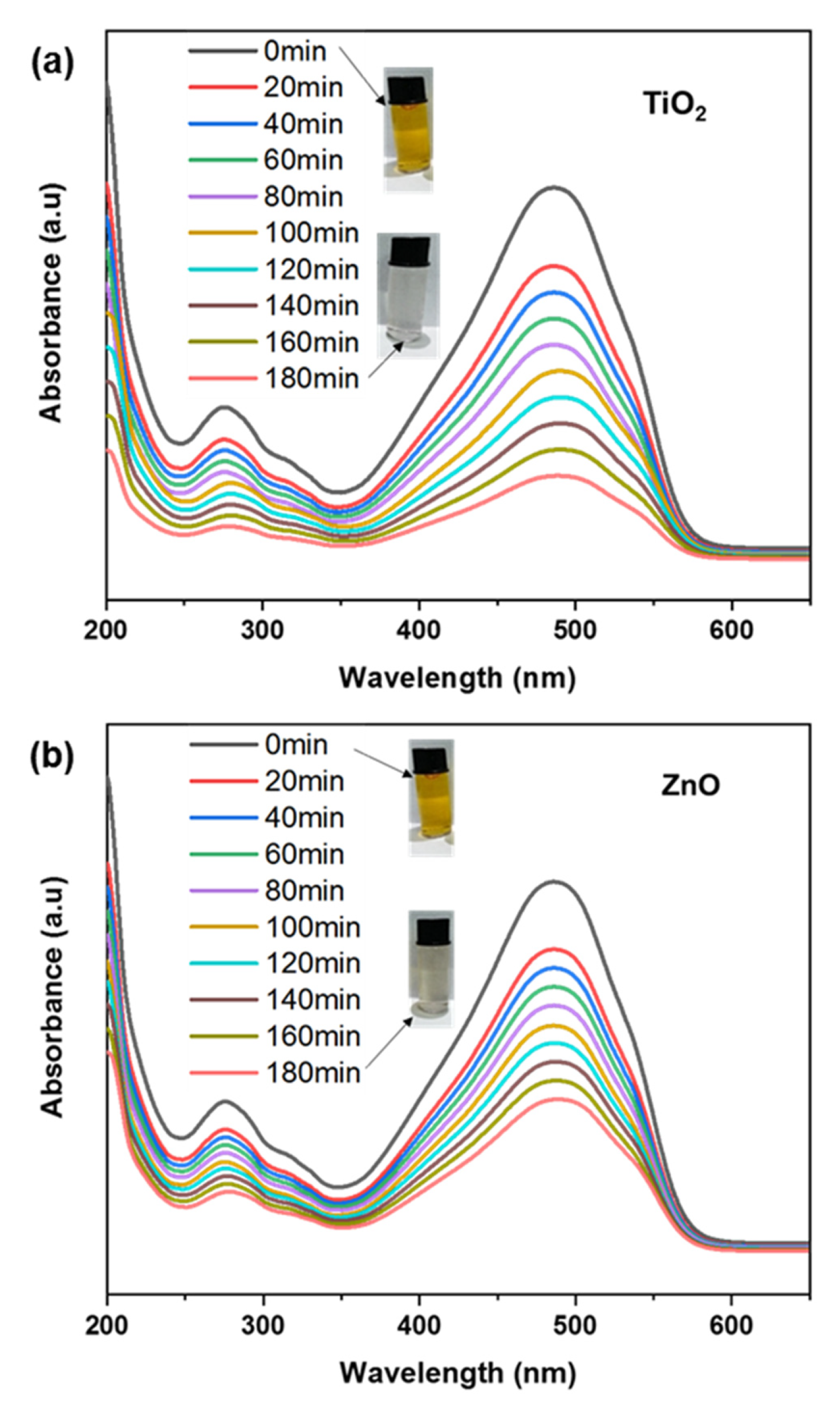Catalysts 13 01062 g008