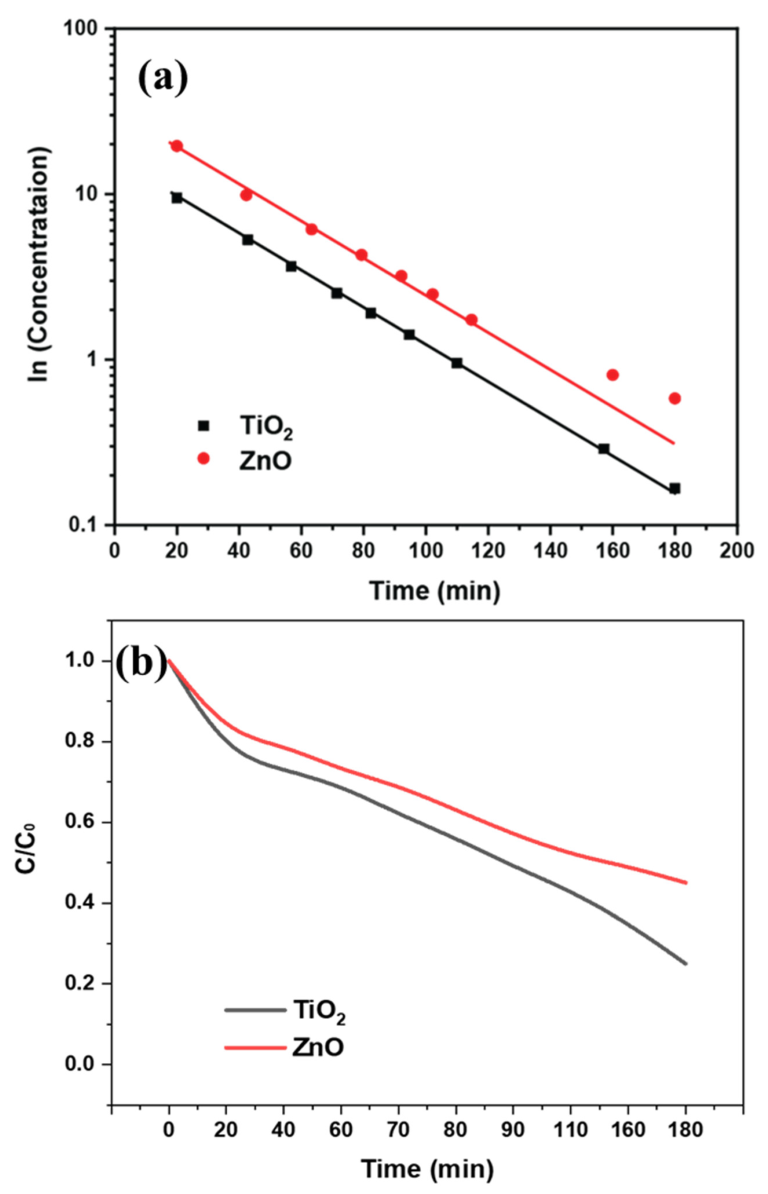 Catalysts 13 01062 g009