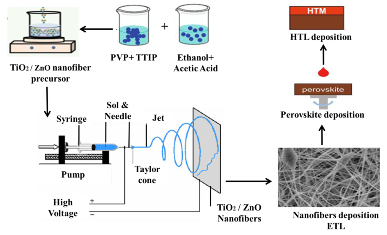 Catalysts 13 01062 g010