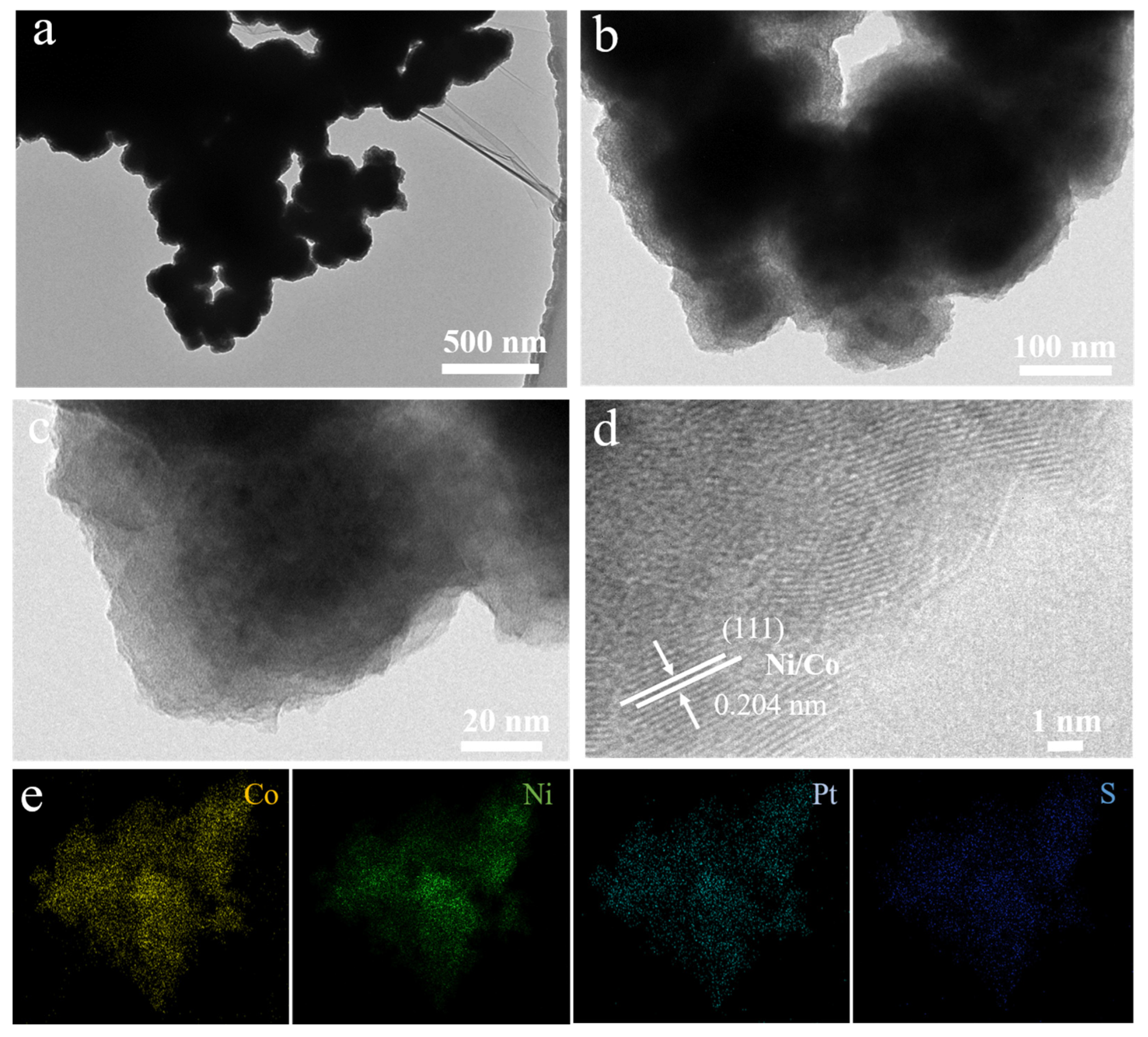 Catalysts 13 01064 g001