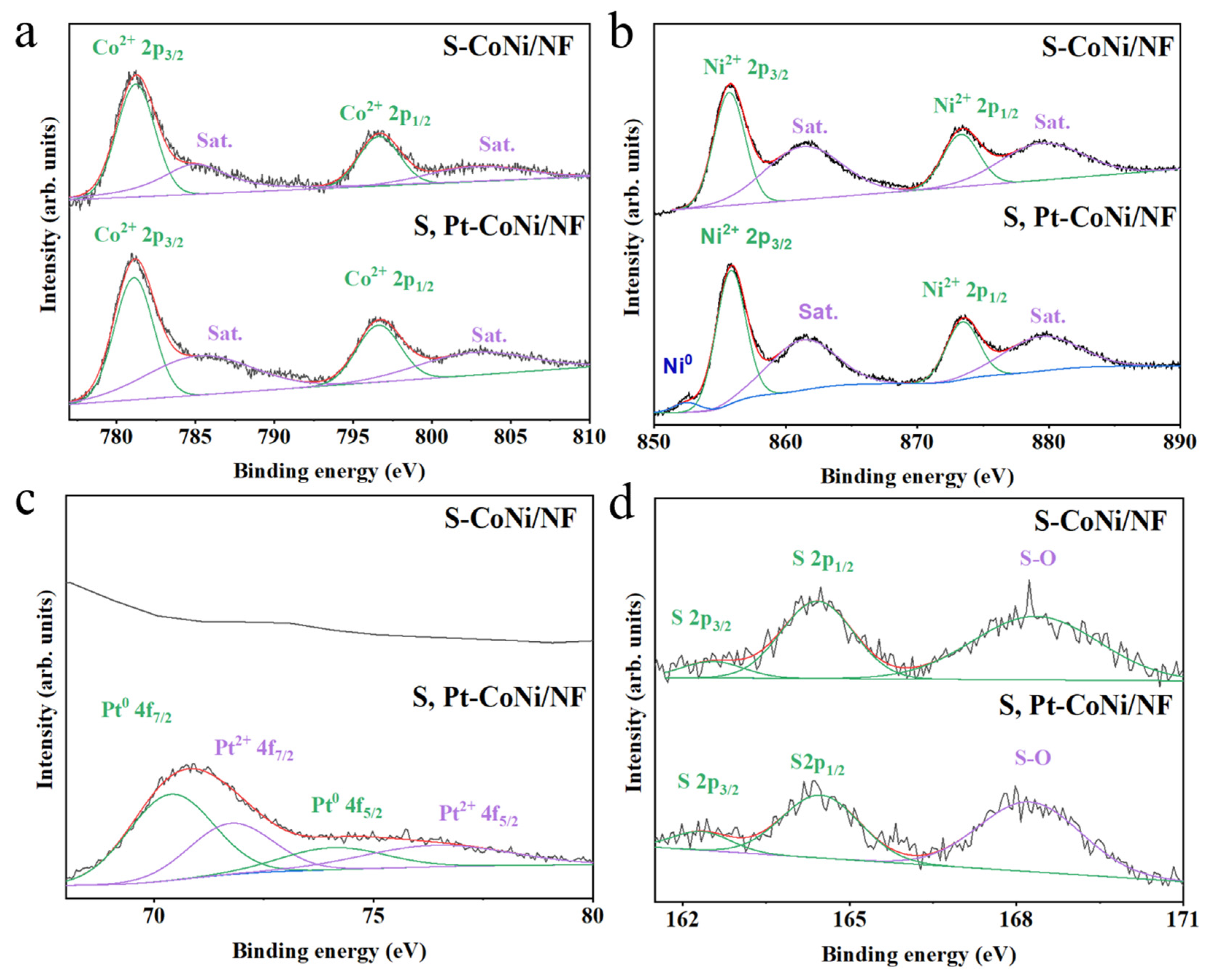 Catalysts 13 01064 g002