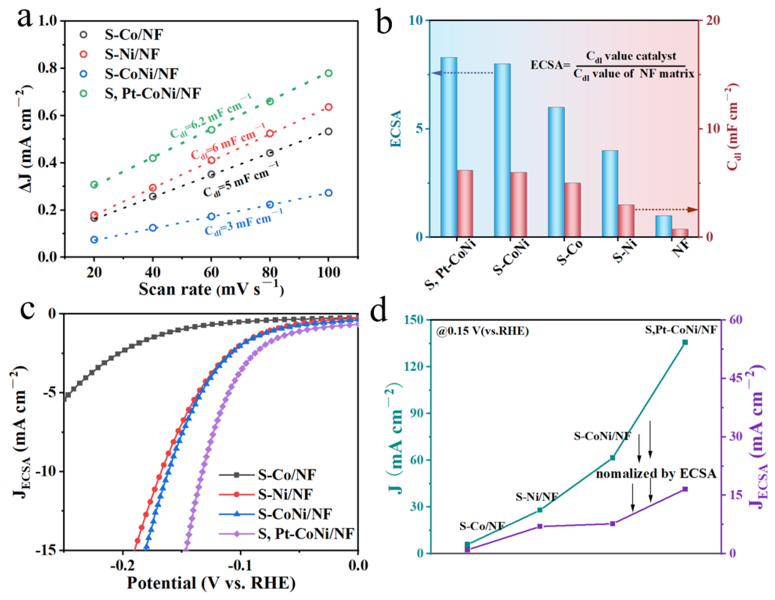 Catalysts 13 01064 g004