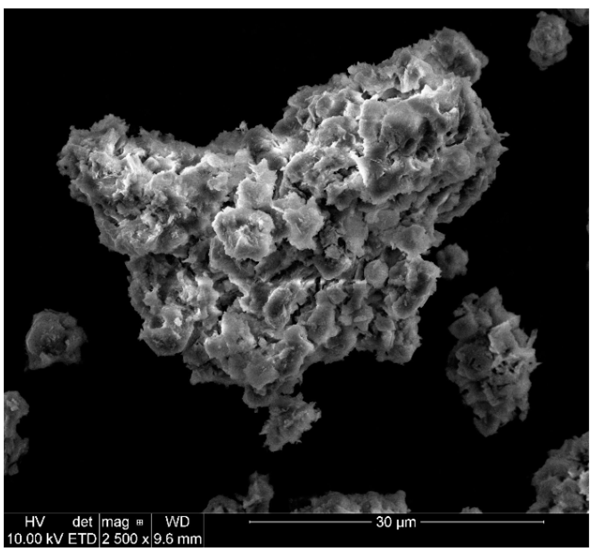 Catalysts 13 01065 g002