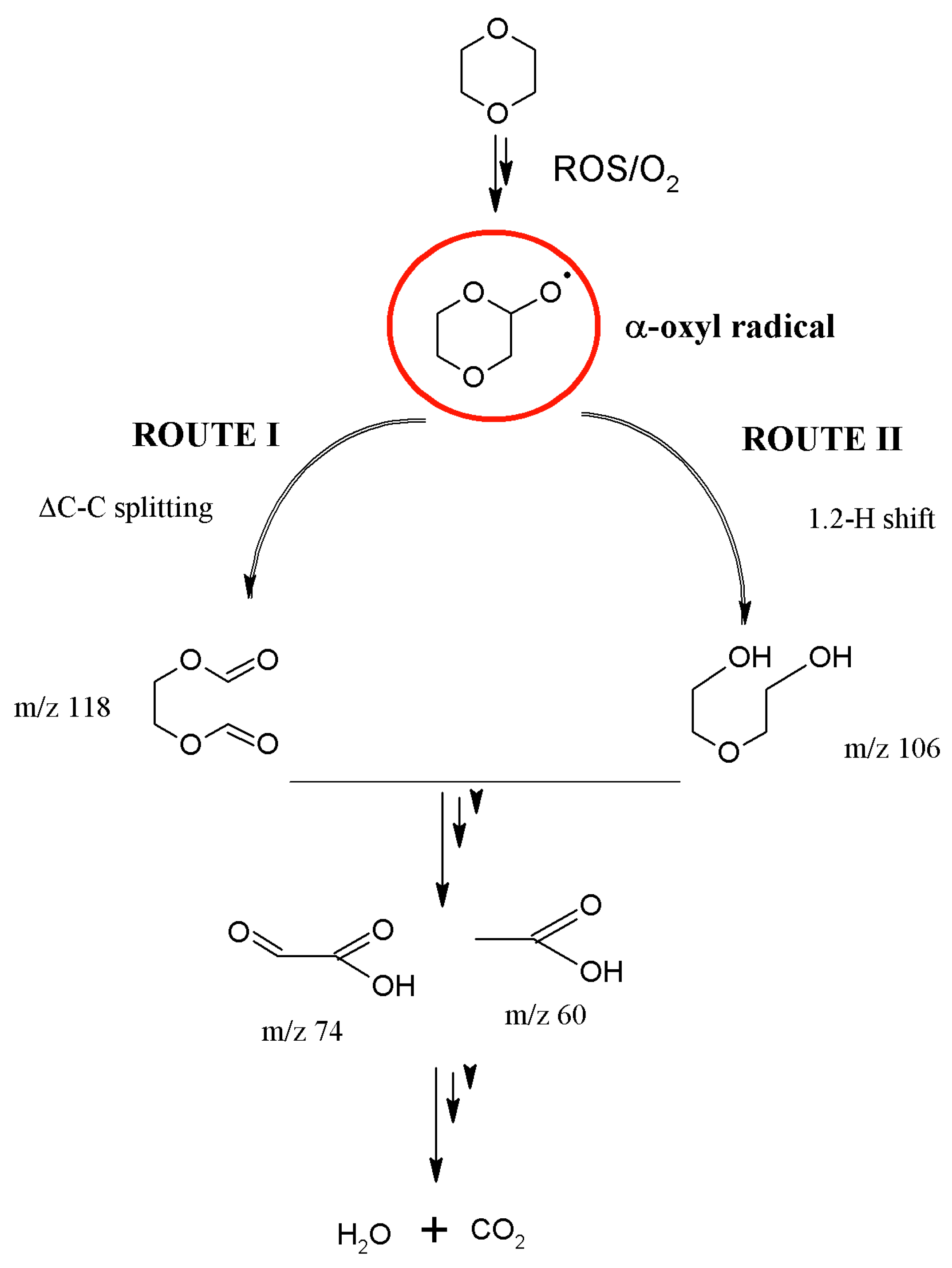 Catalysts 13 01065 g008