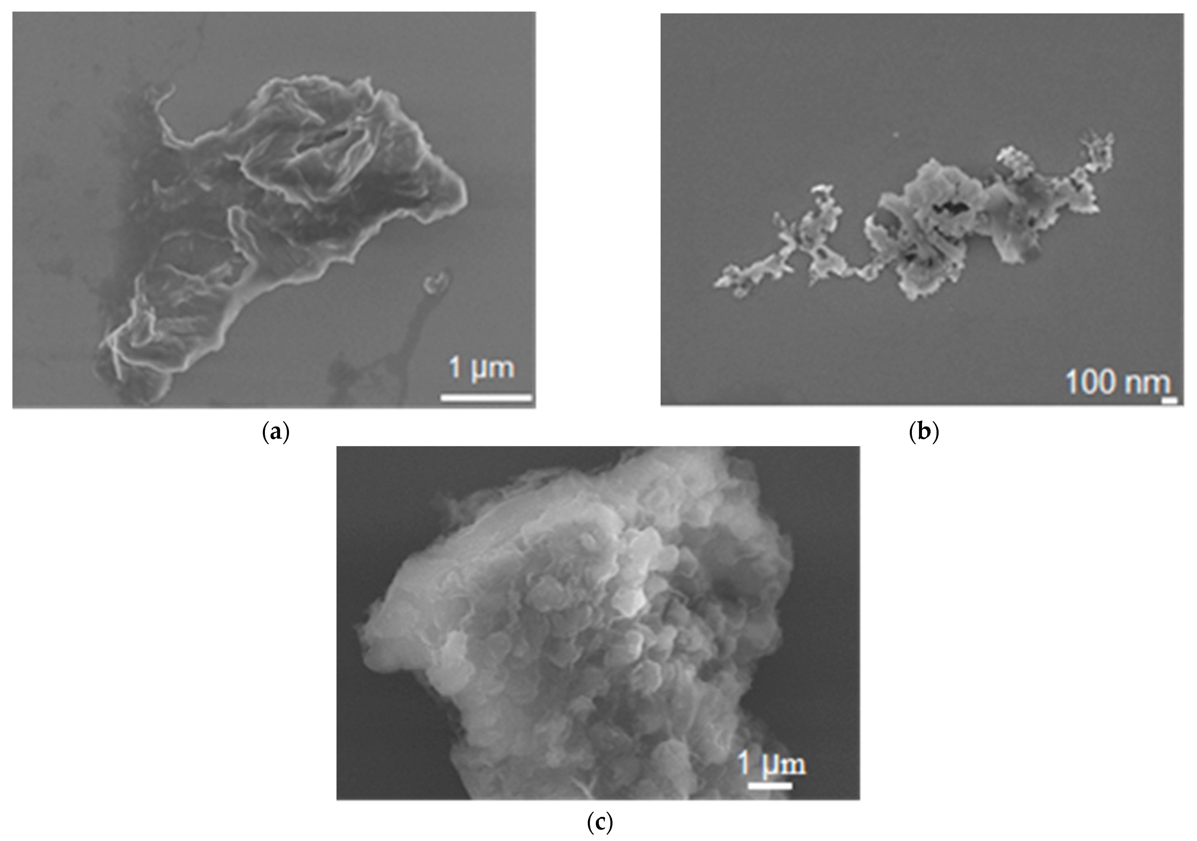 Catalysts 13 01069 g002