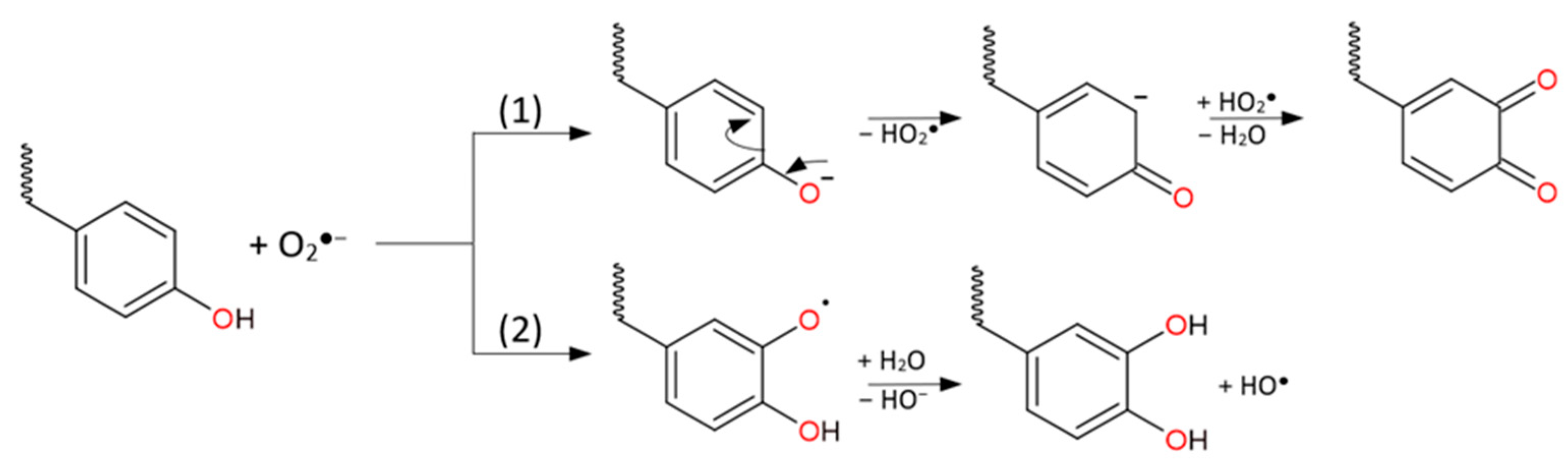 Catalysts 13 01069 g008