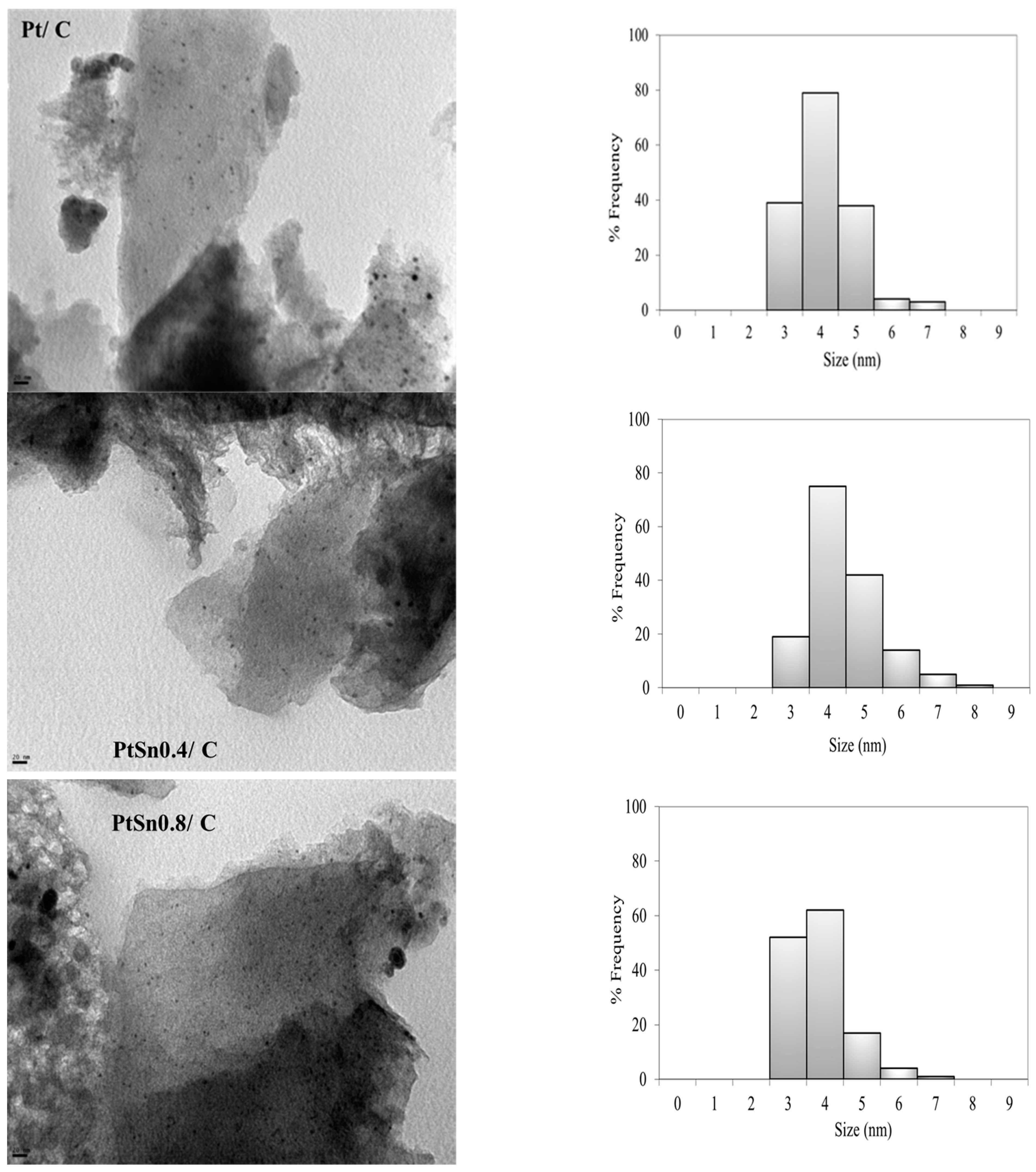 Catalysts 13 01071 g002