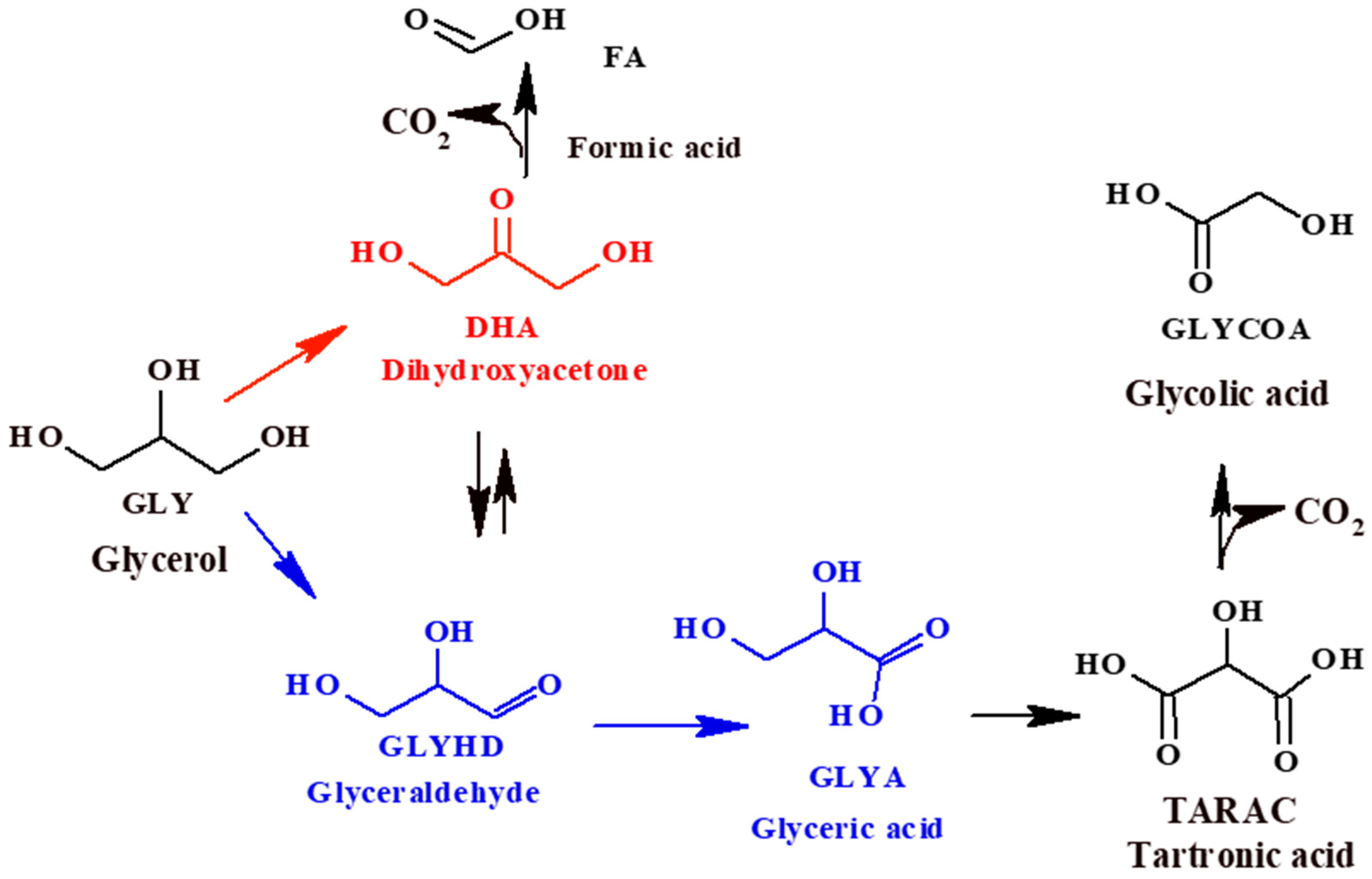Catalysts 13 01071 sch001