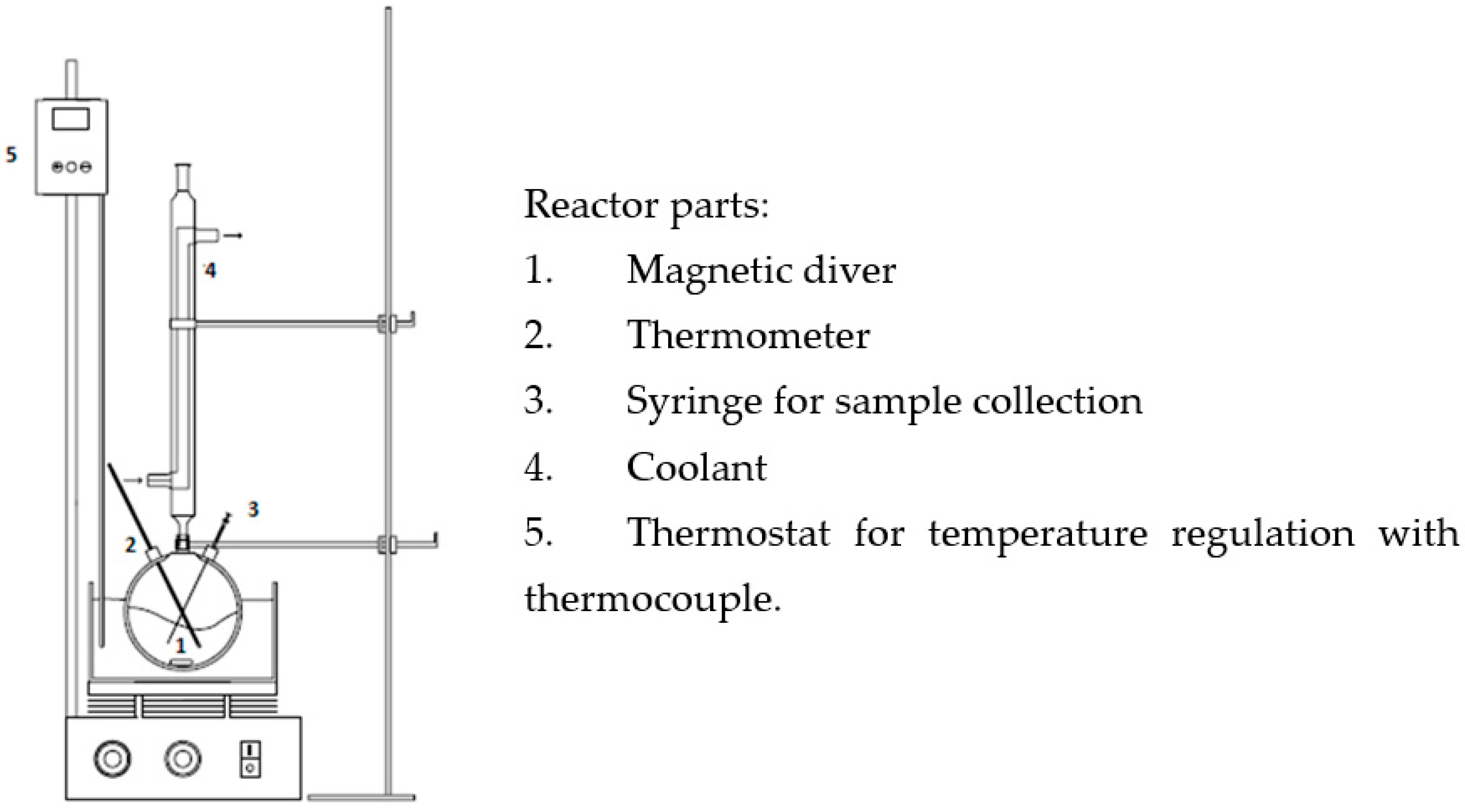 Catalysts 13 01071 sch002