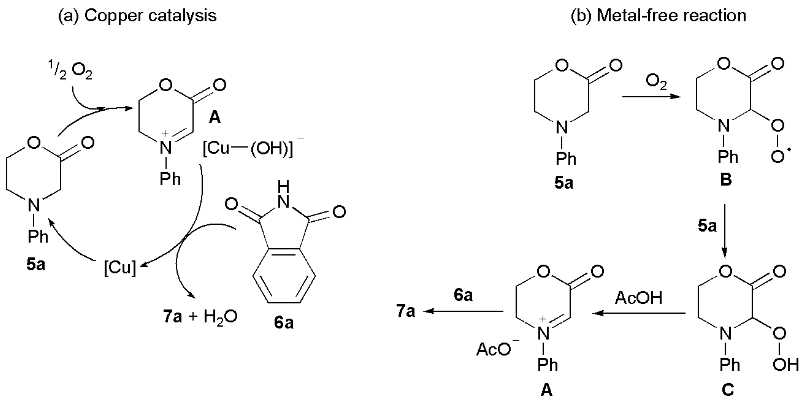 Catalysts 13 01072 g004
