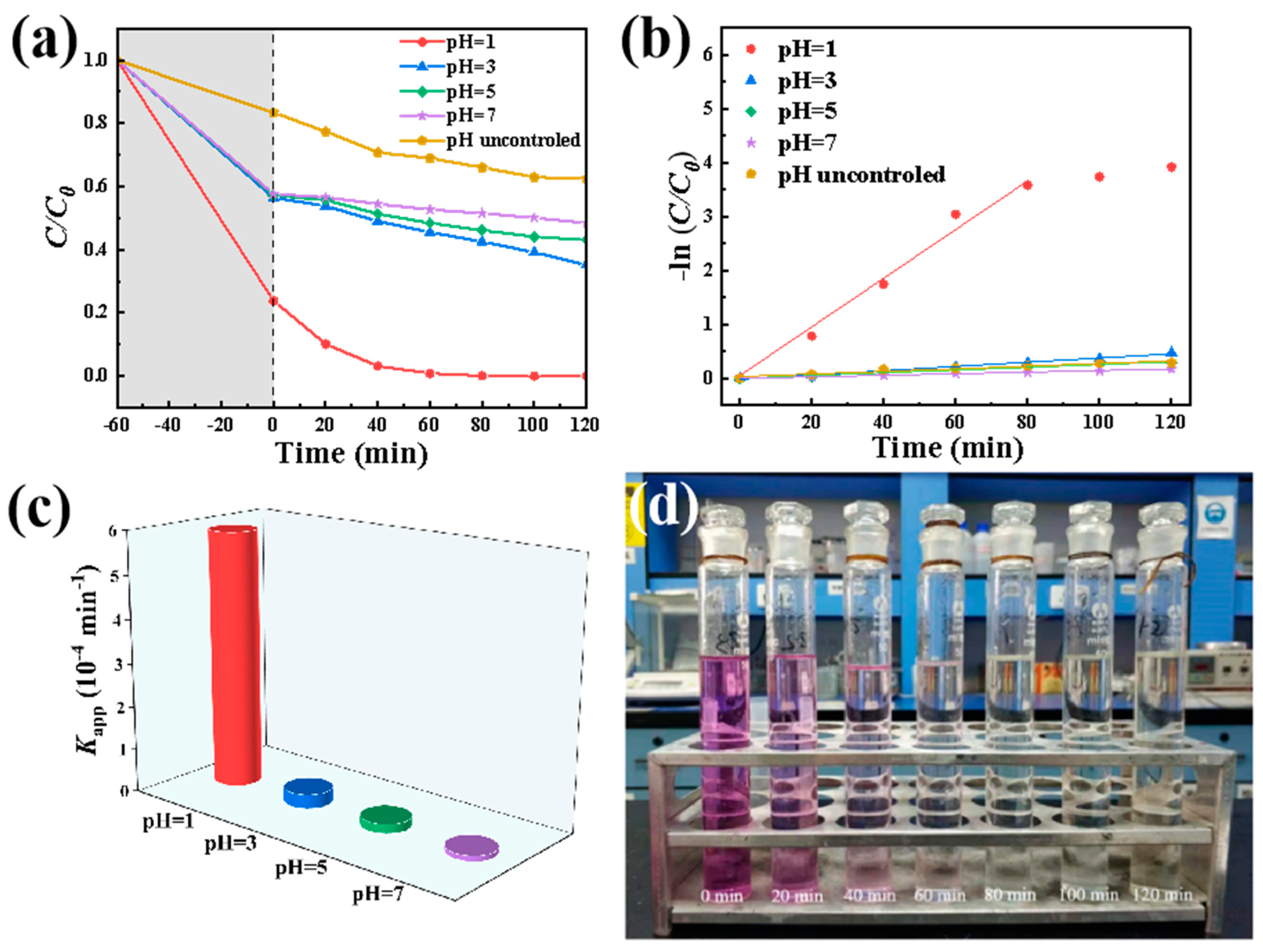 Catalysts 13 01073 g009