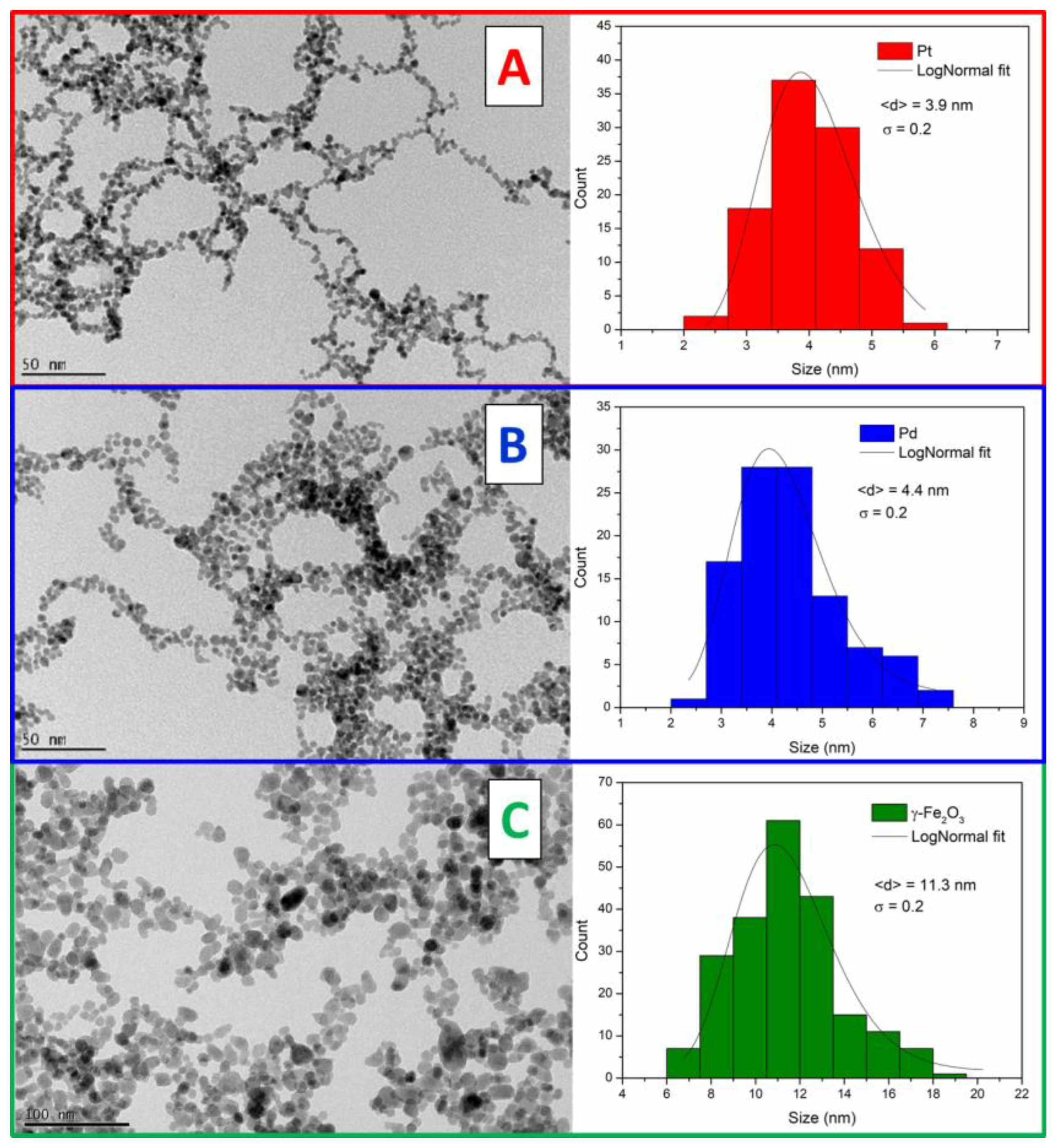 Catalysts 13 01074 g001