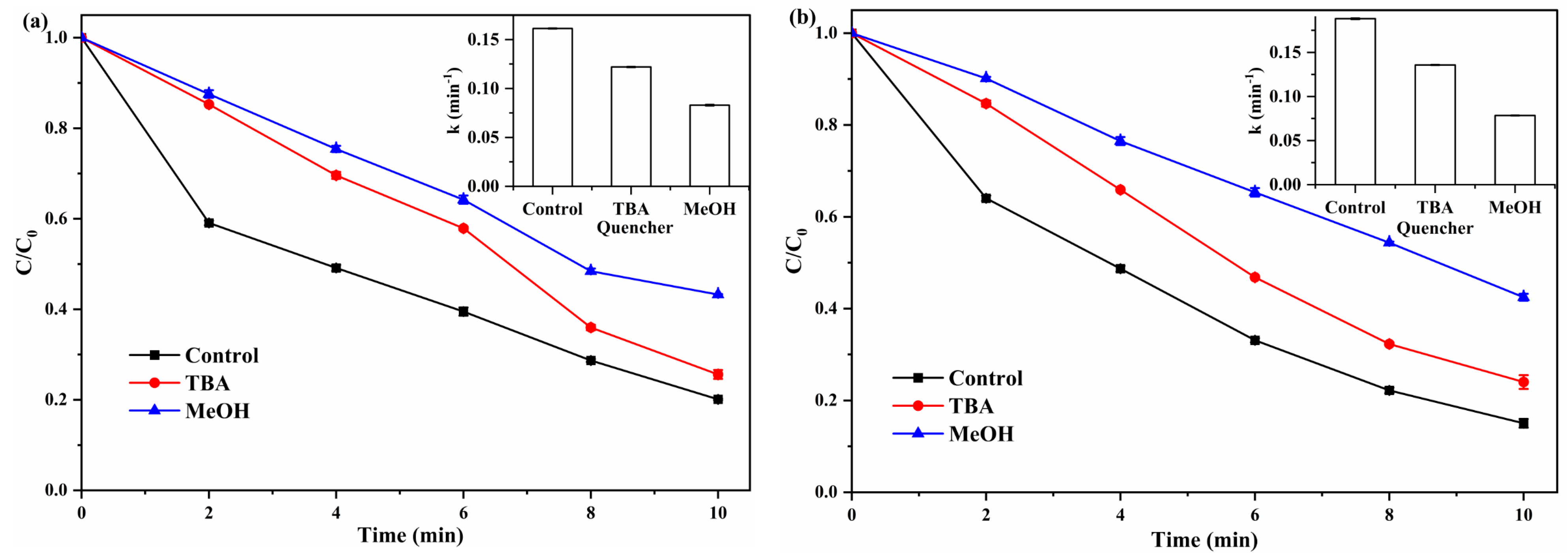 Catalysts 13 01076 g008