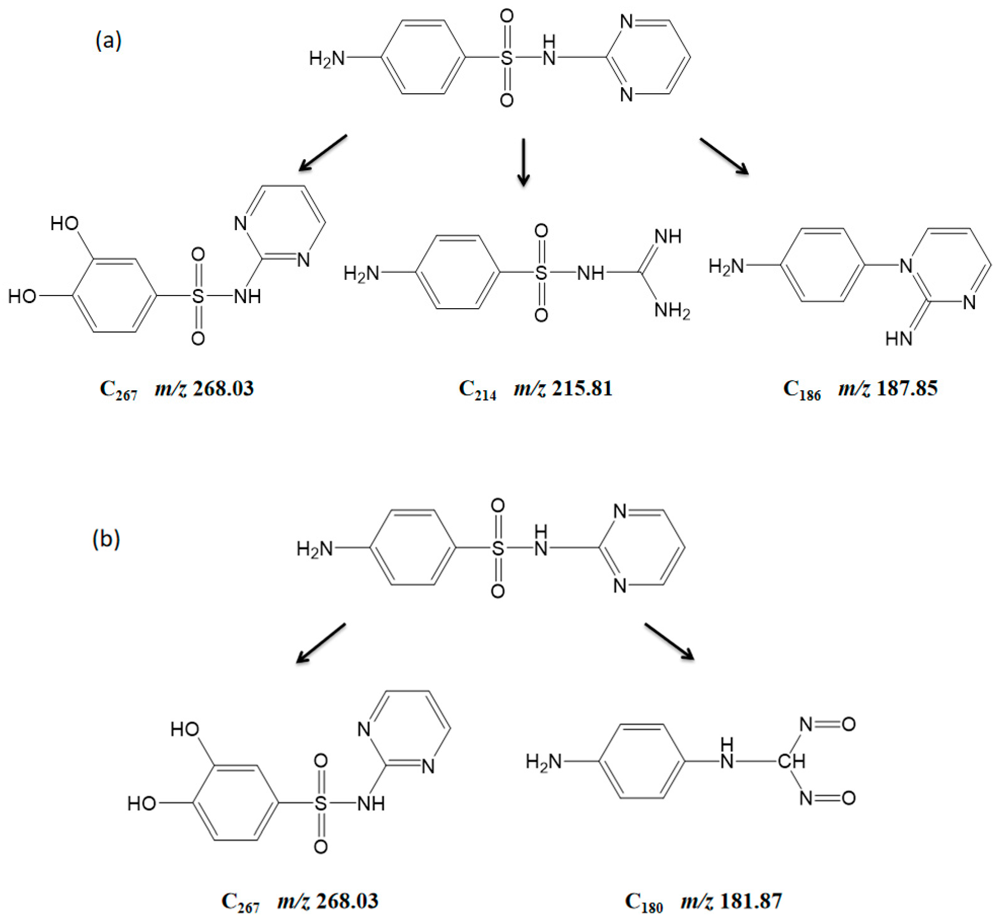 Catalysts 13 01076 g009