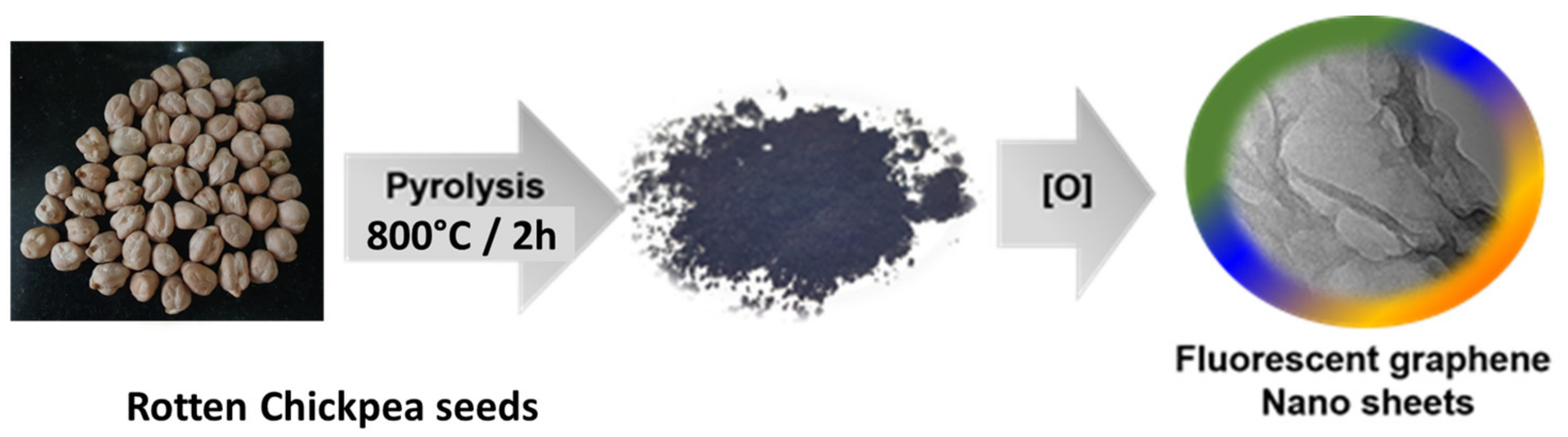 Catalysts 13 01077 g001