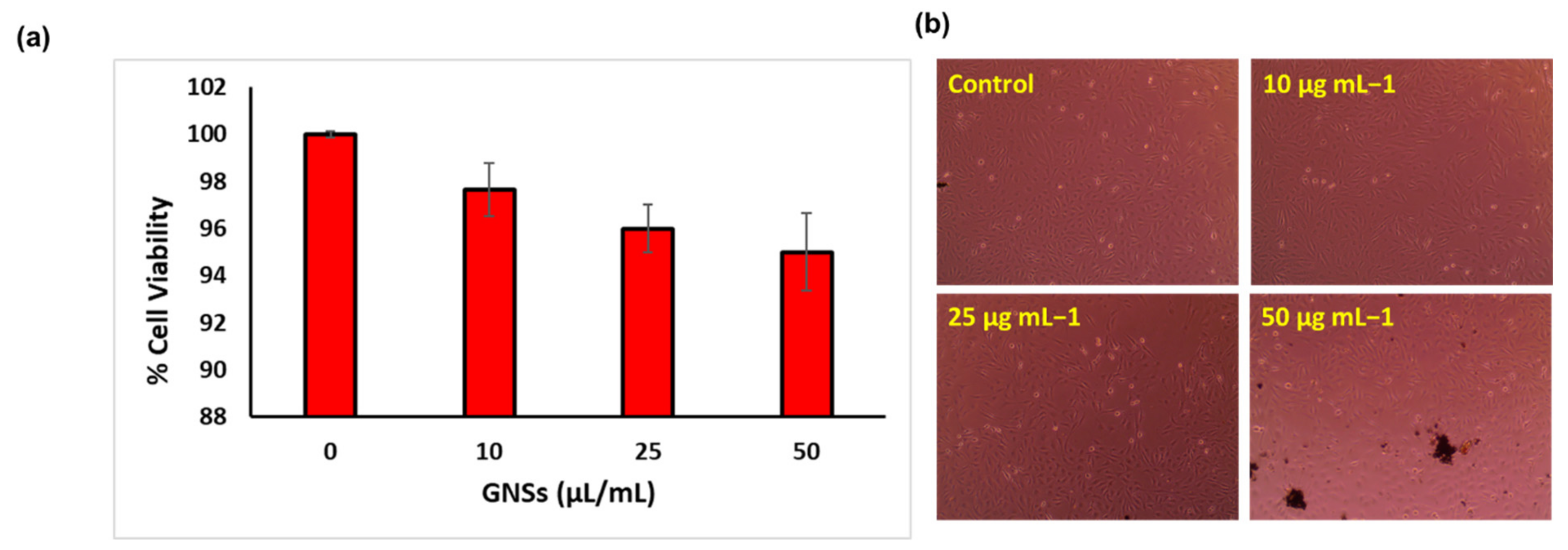 Catalysts 13 01077 g004